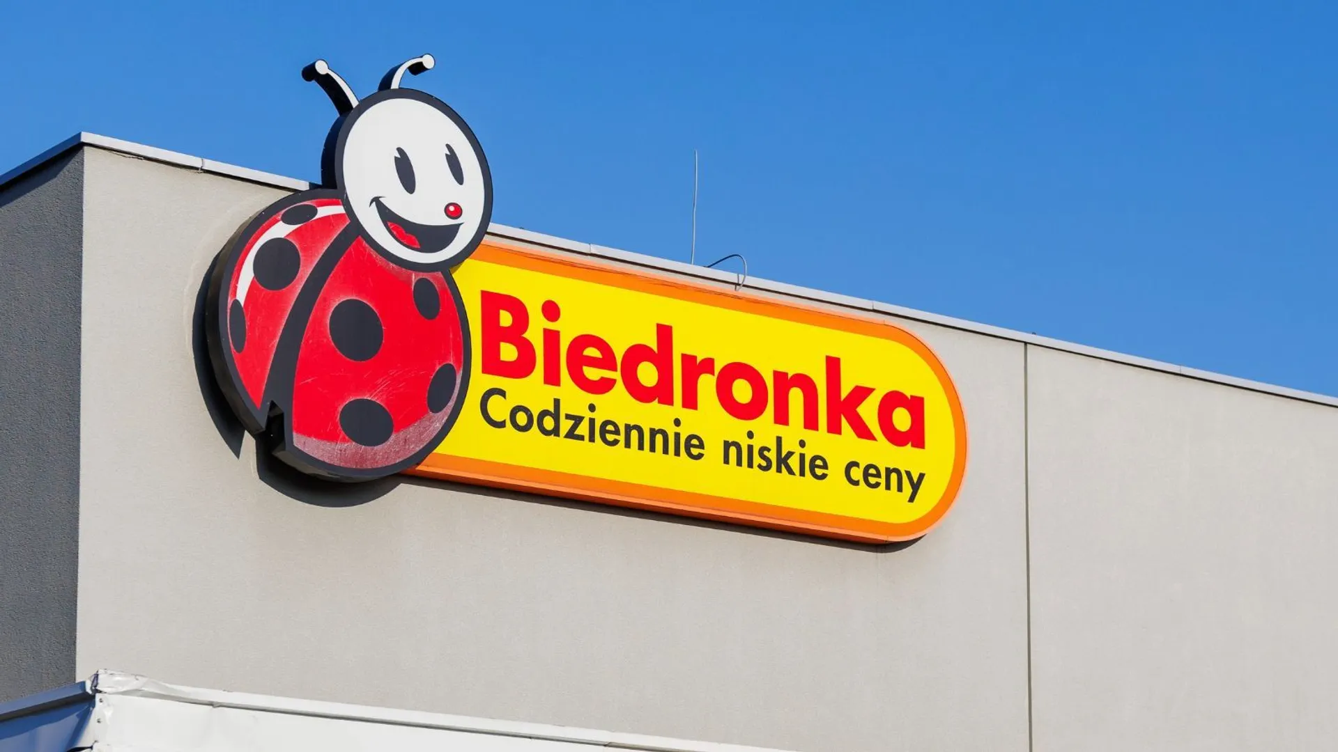 Beiedronka plecak