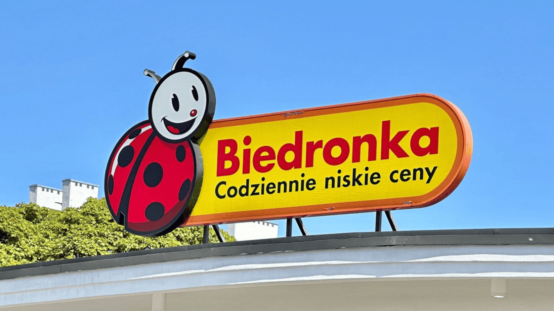 biedronka