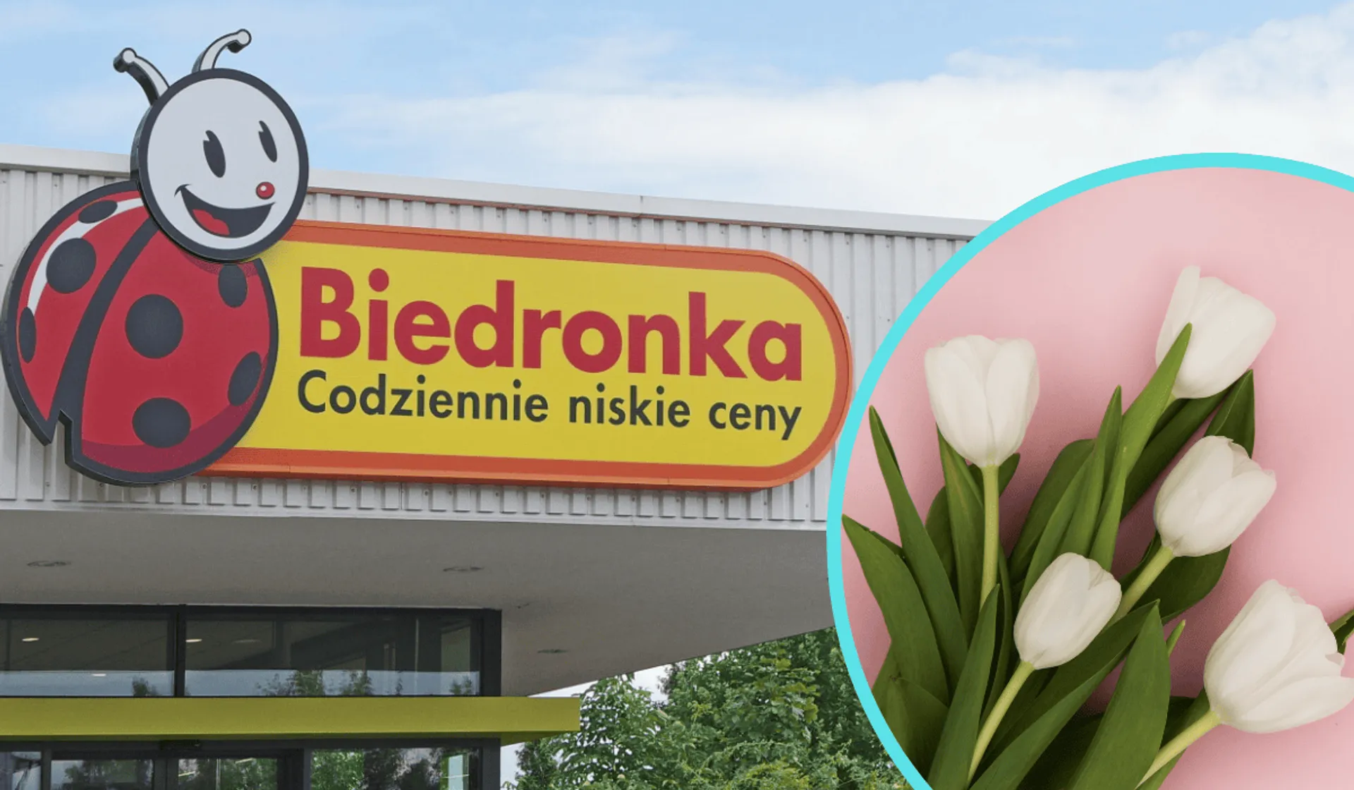 Biedronka