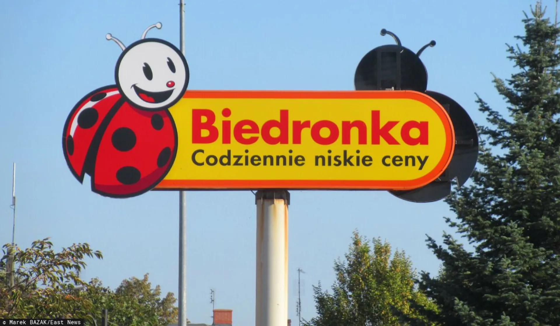 Biedronka