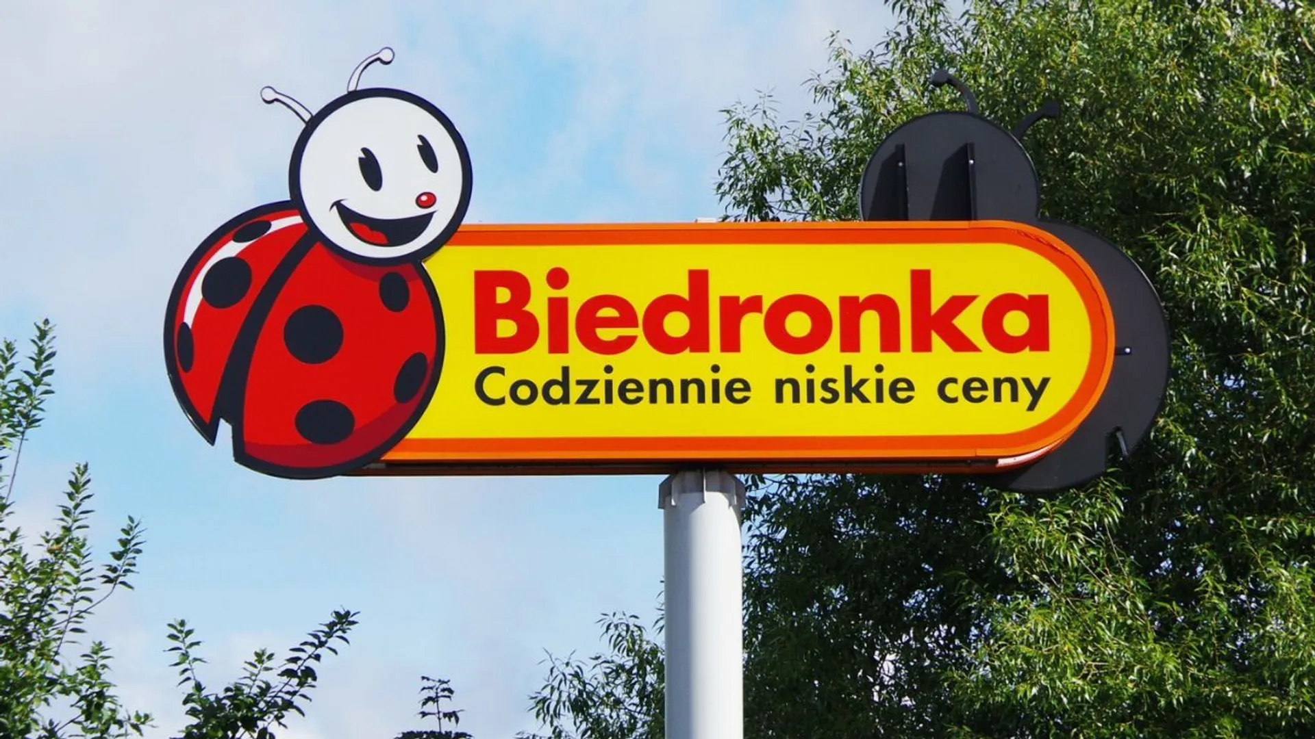 Biedronka