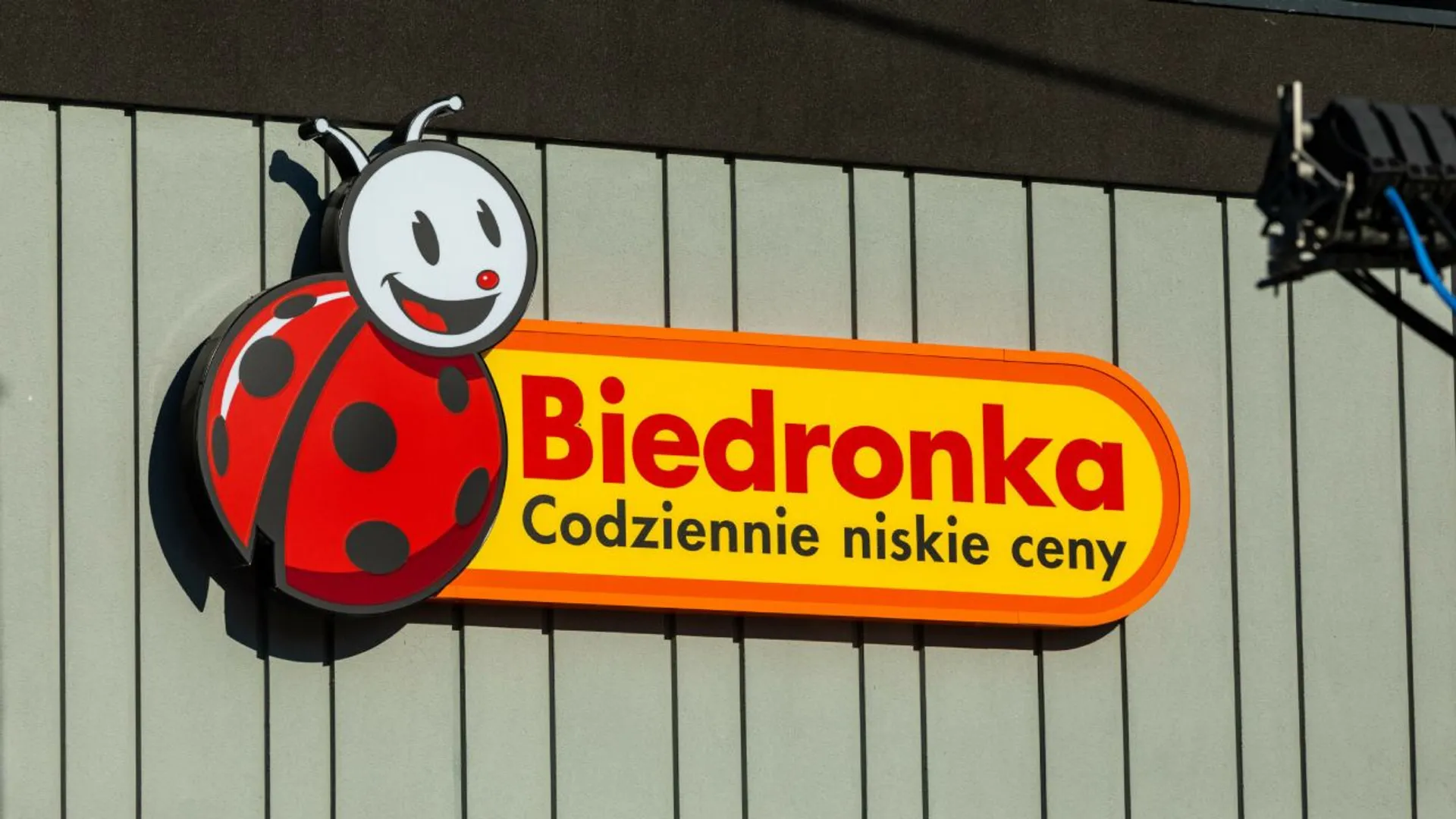 Biedronka