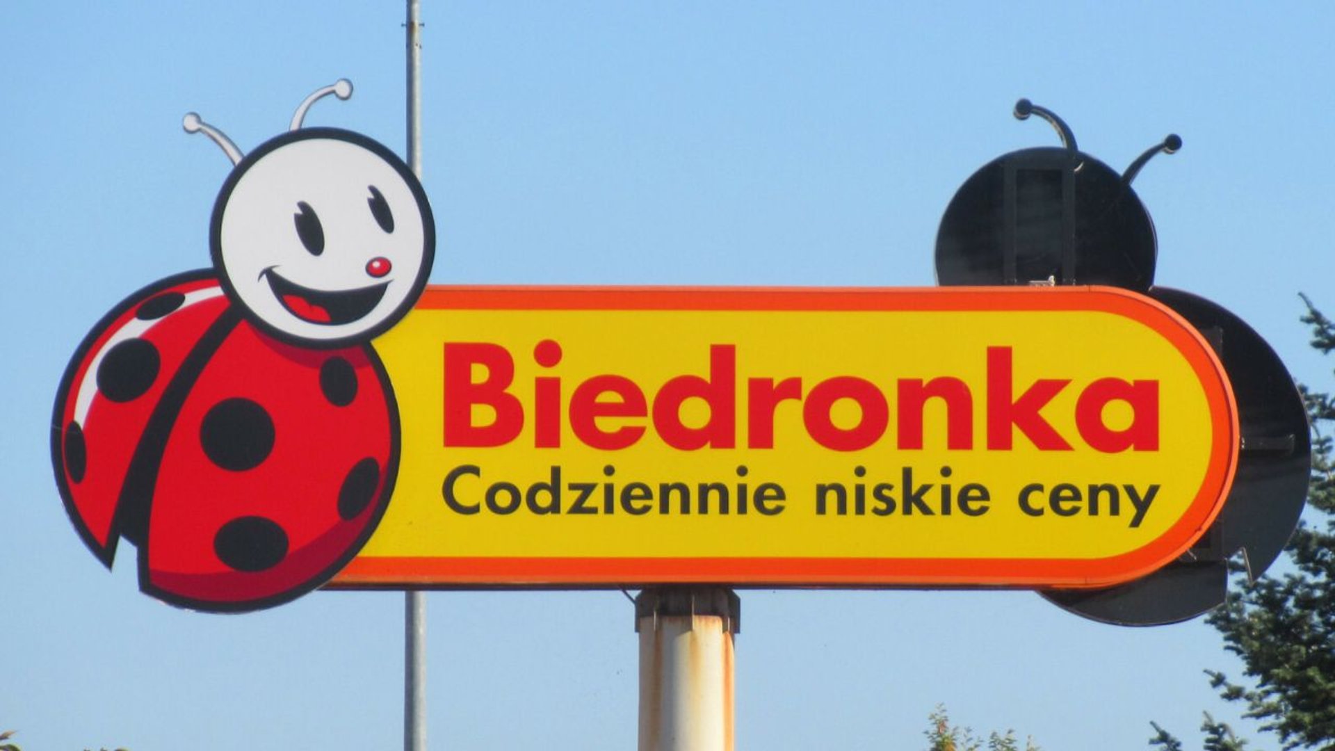 Biedronka