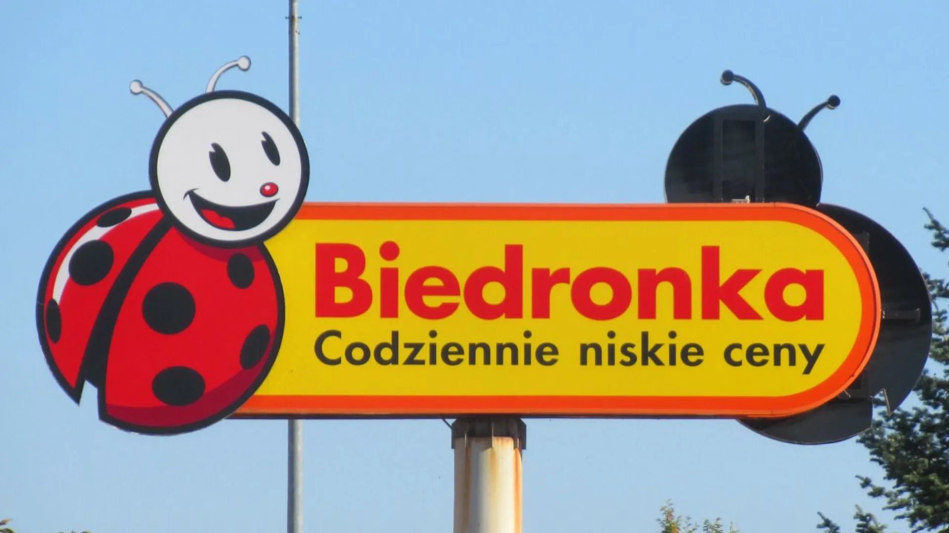 biedronka