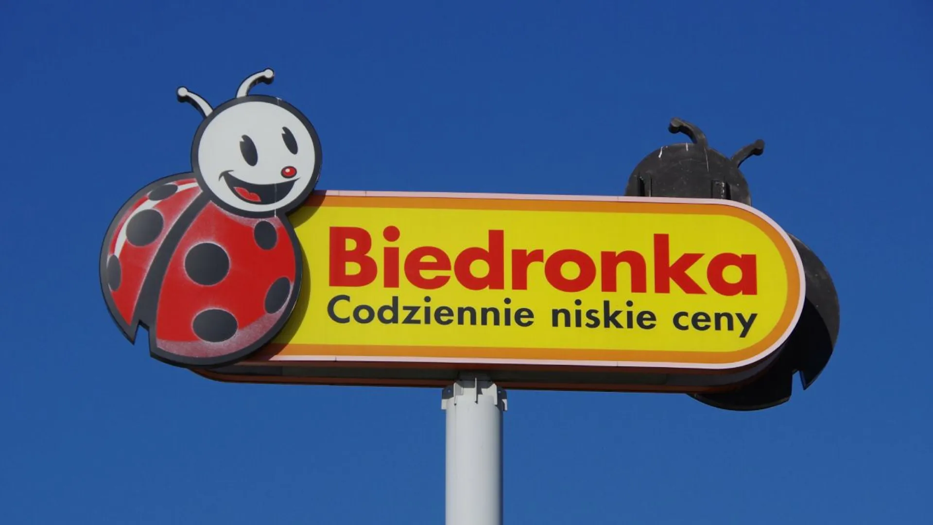 Biedronka