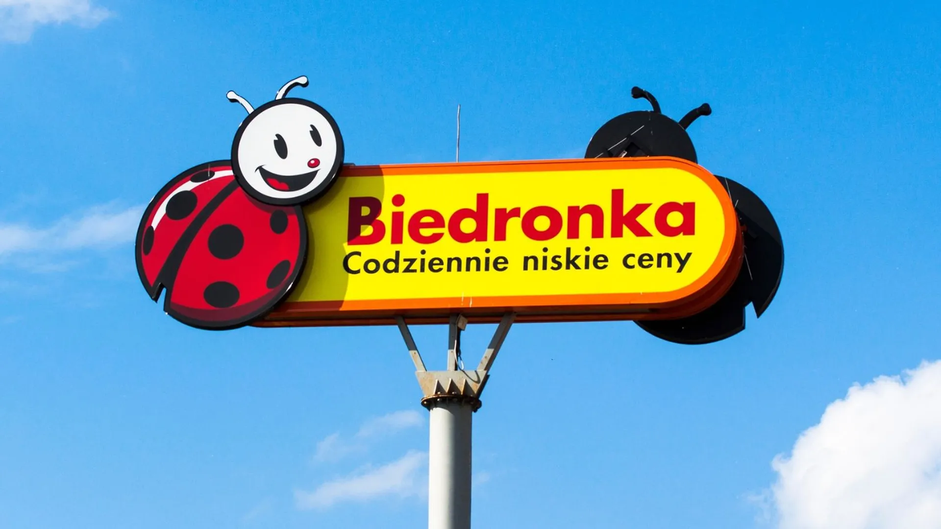 Biedronka 24 08