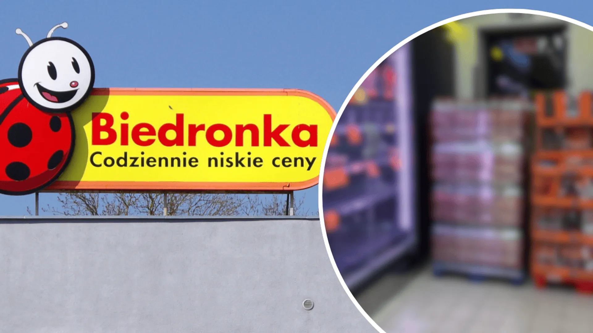 Biedronka