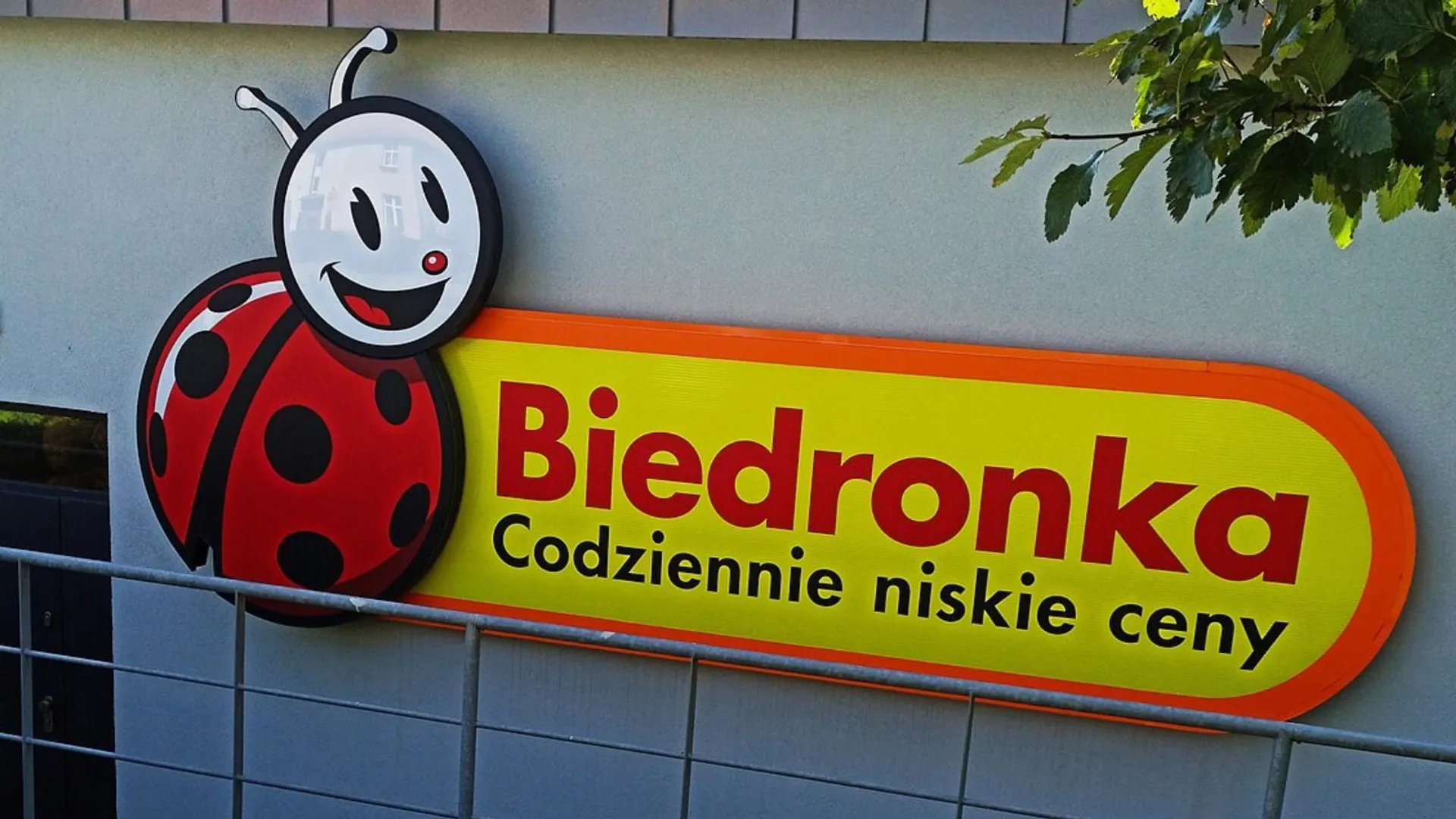 Biedronka 30 09