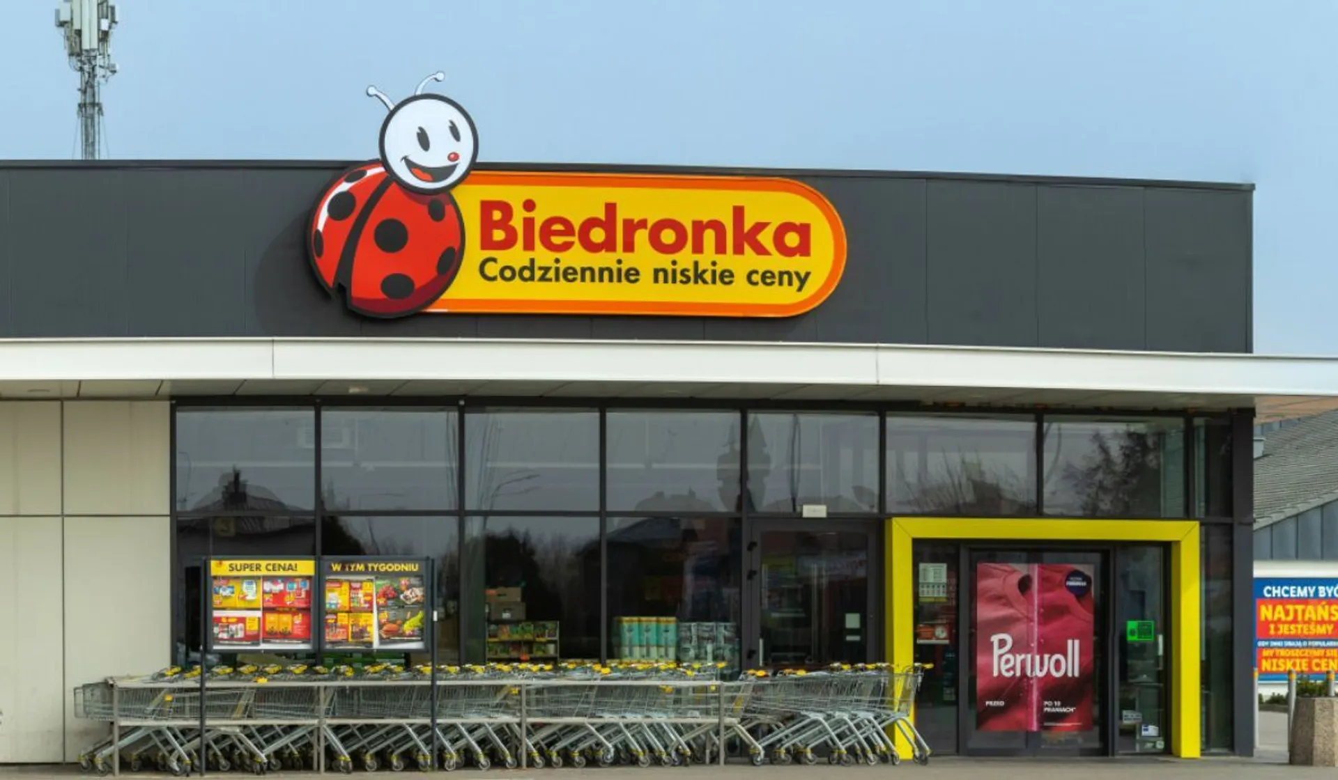 Biedronka