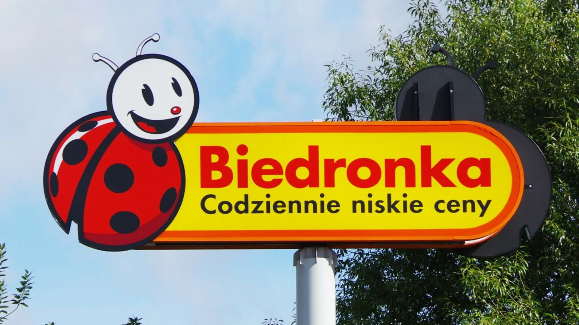 Biedronka