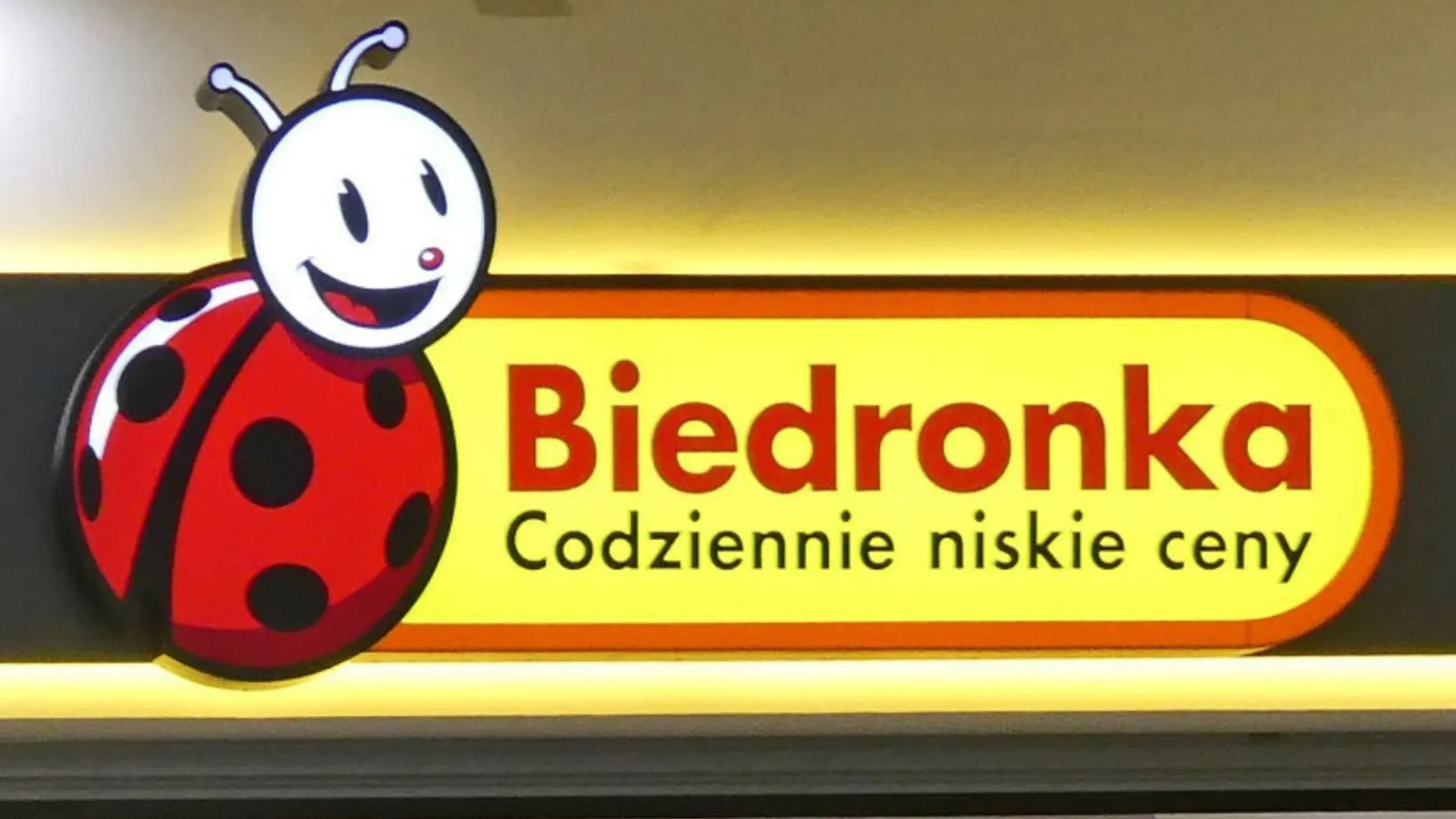 Biedronka