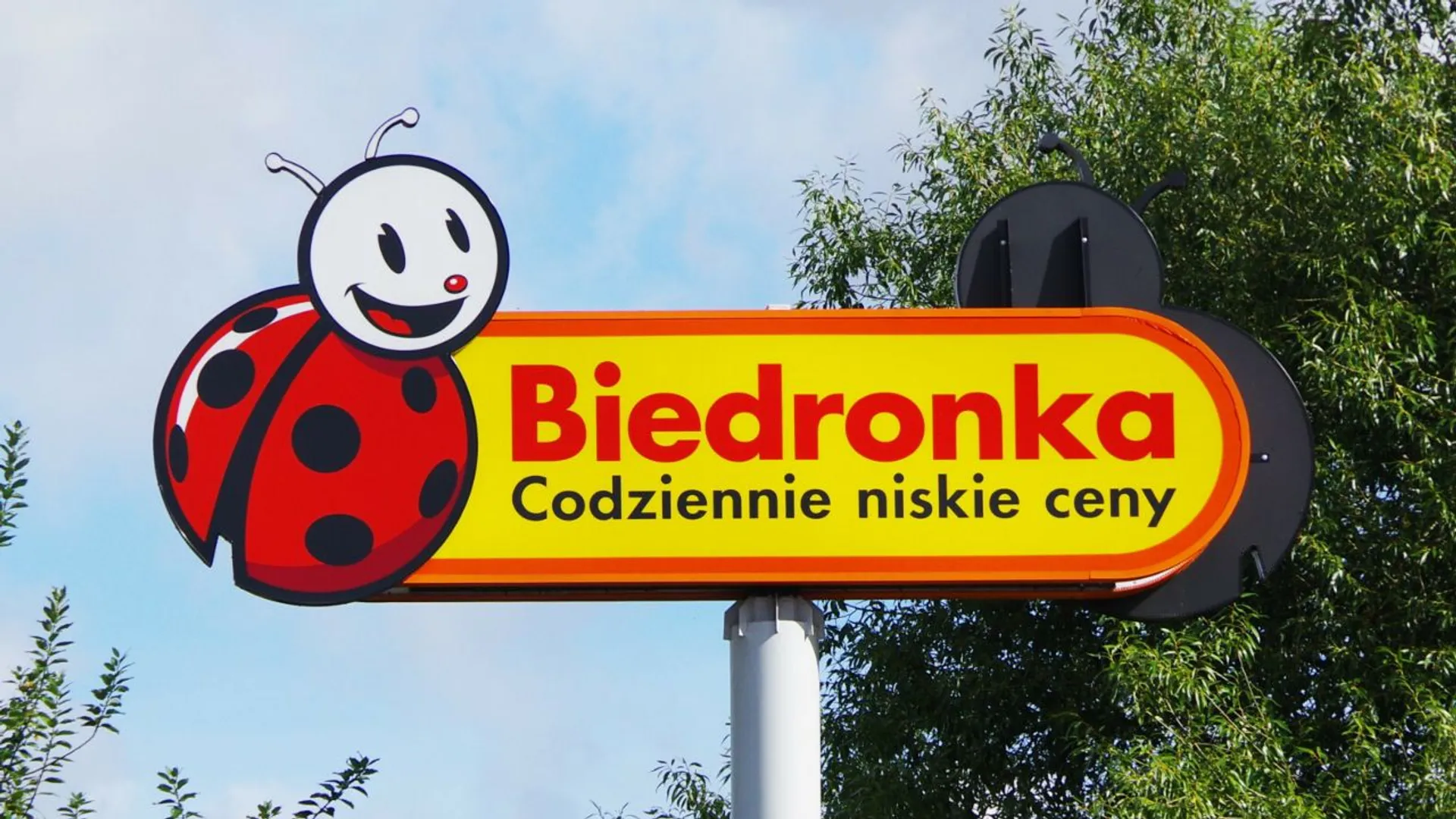 Biedronka