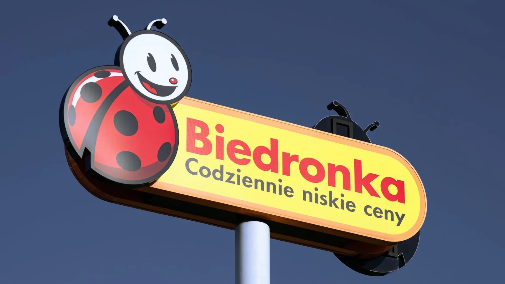 Biedronka 7 września