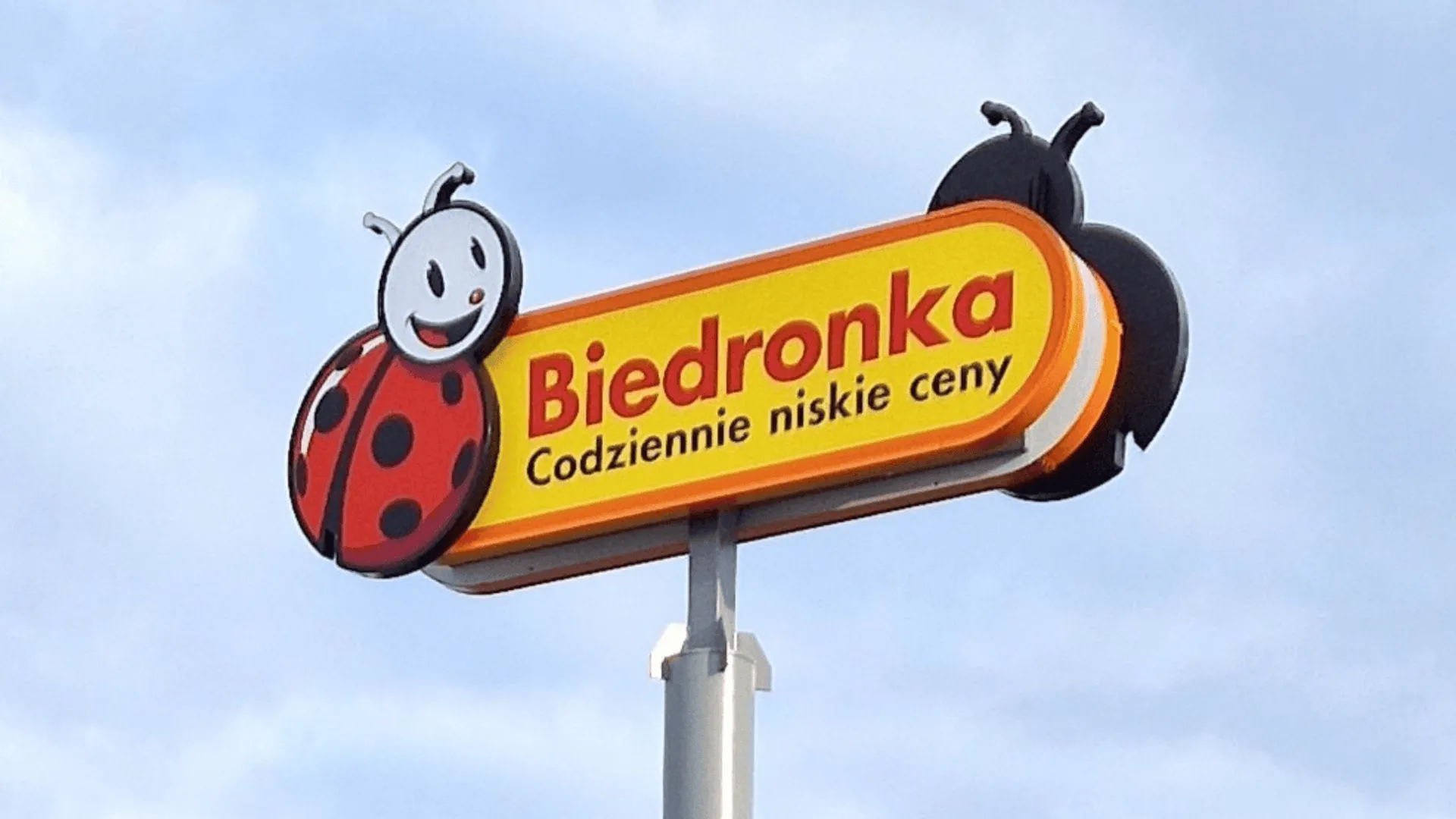 Biedronka