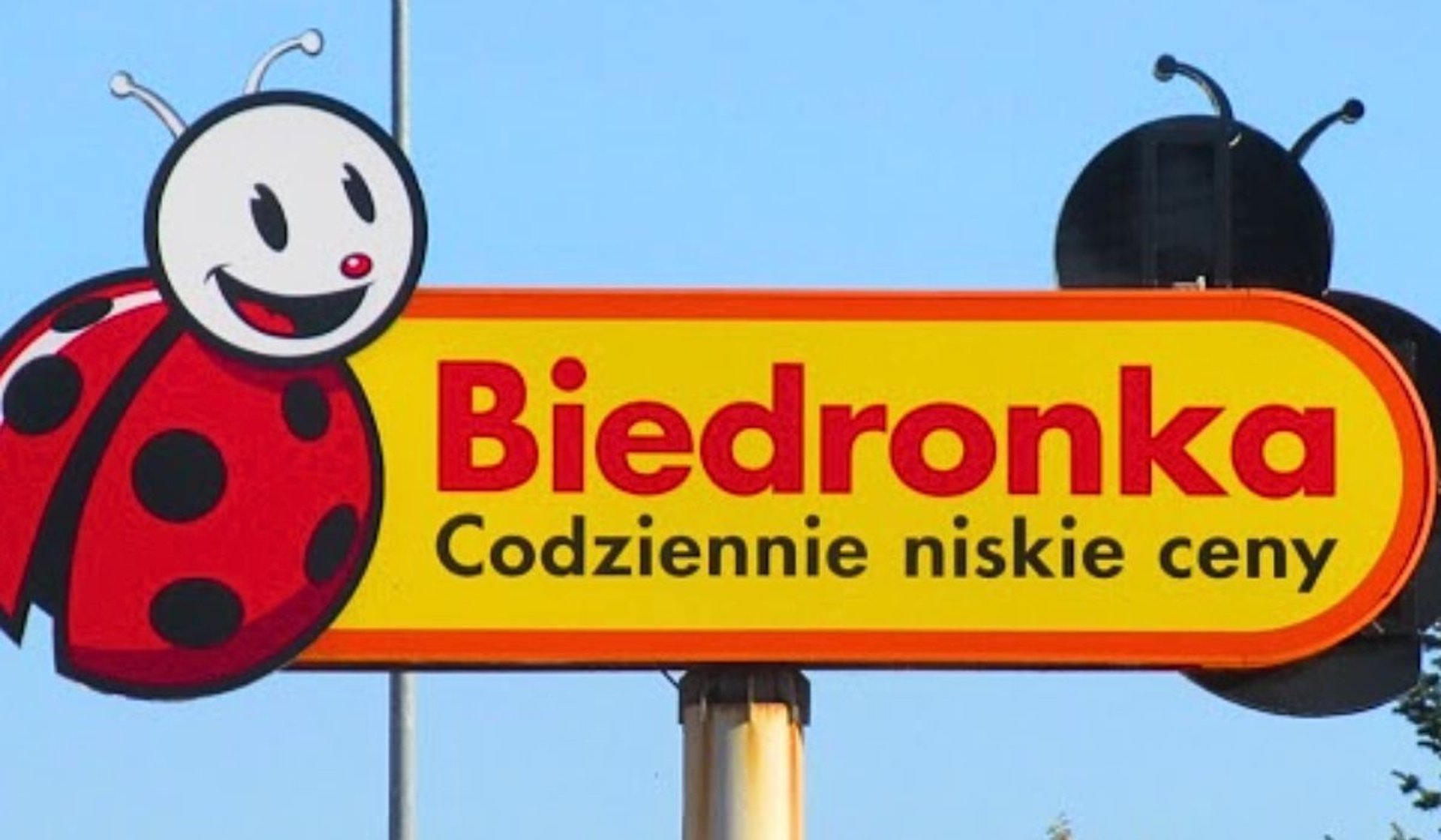 Biedronka