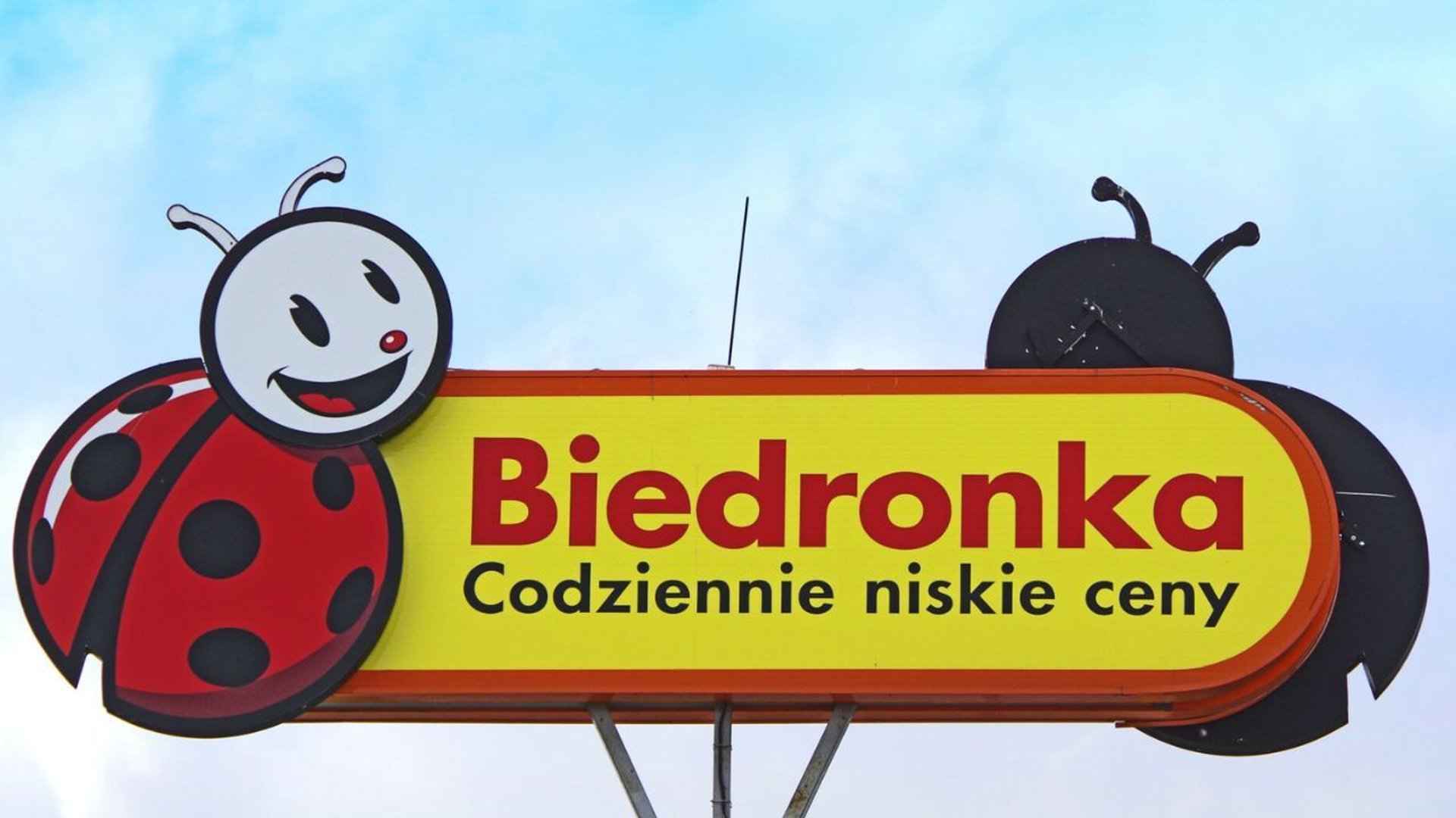 Biedronka 