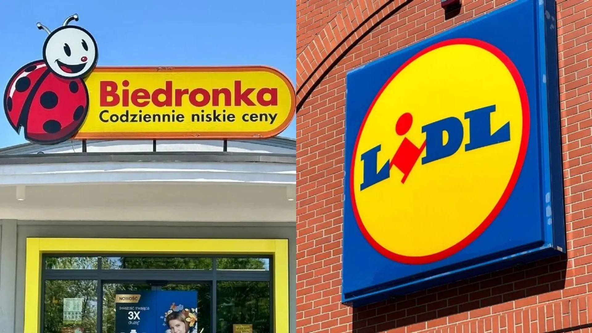 Biedronka, Lidl