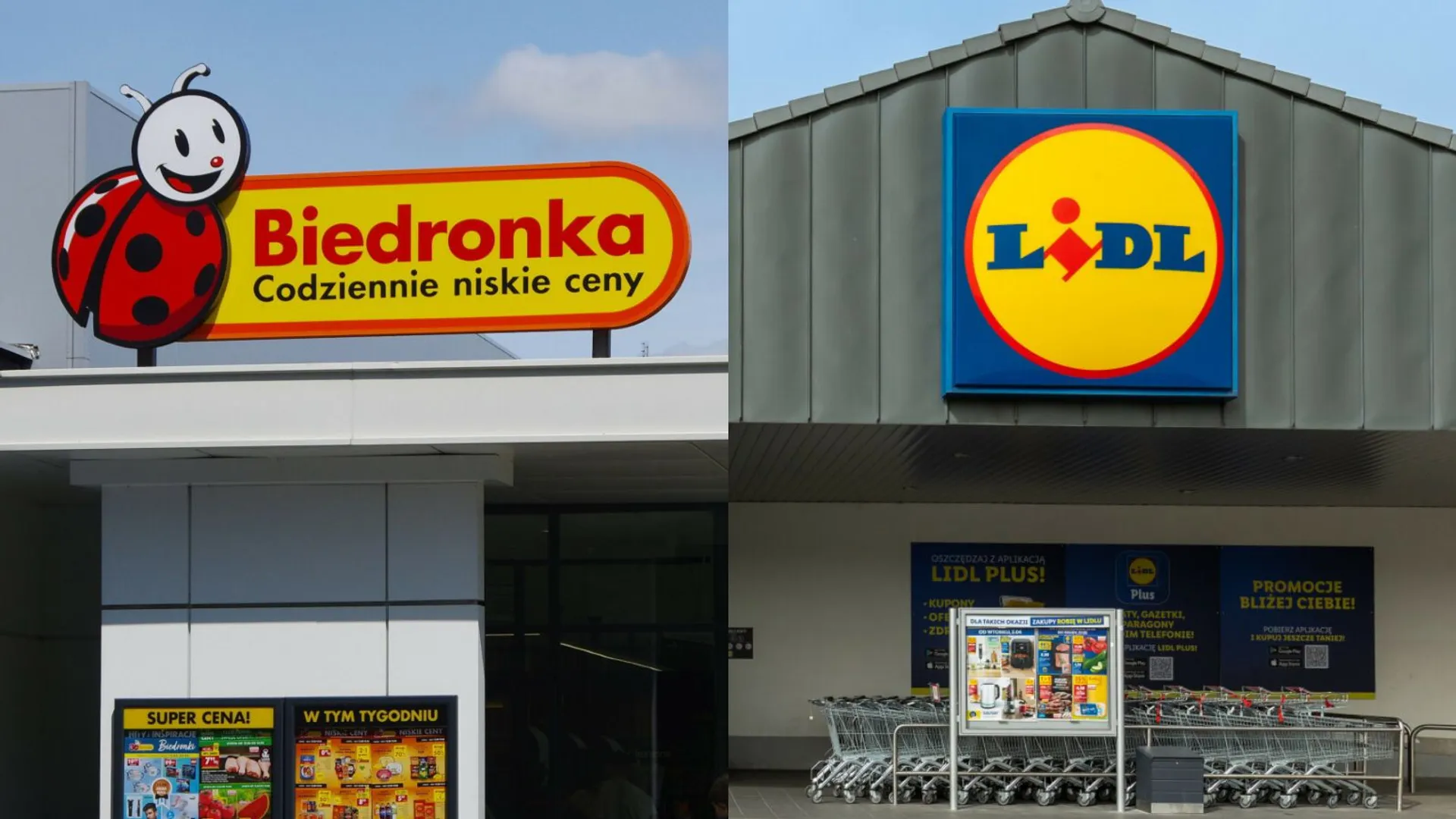 Biedronka, Lidl