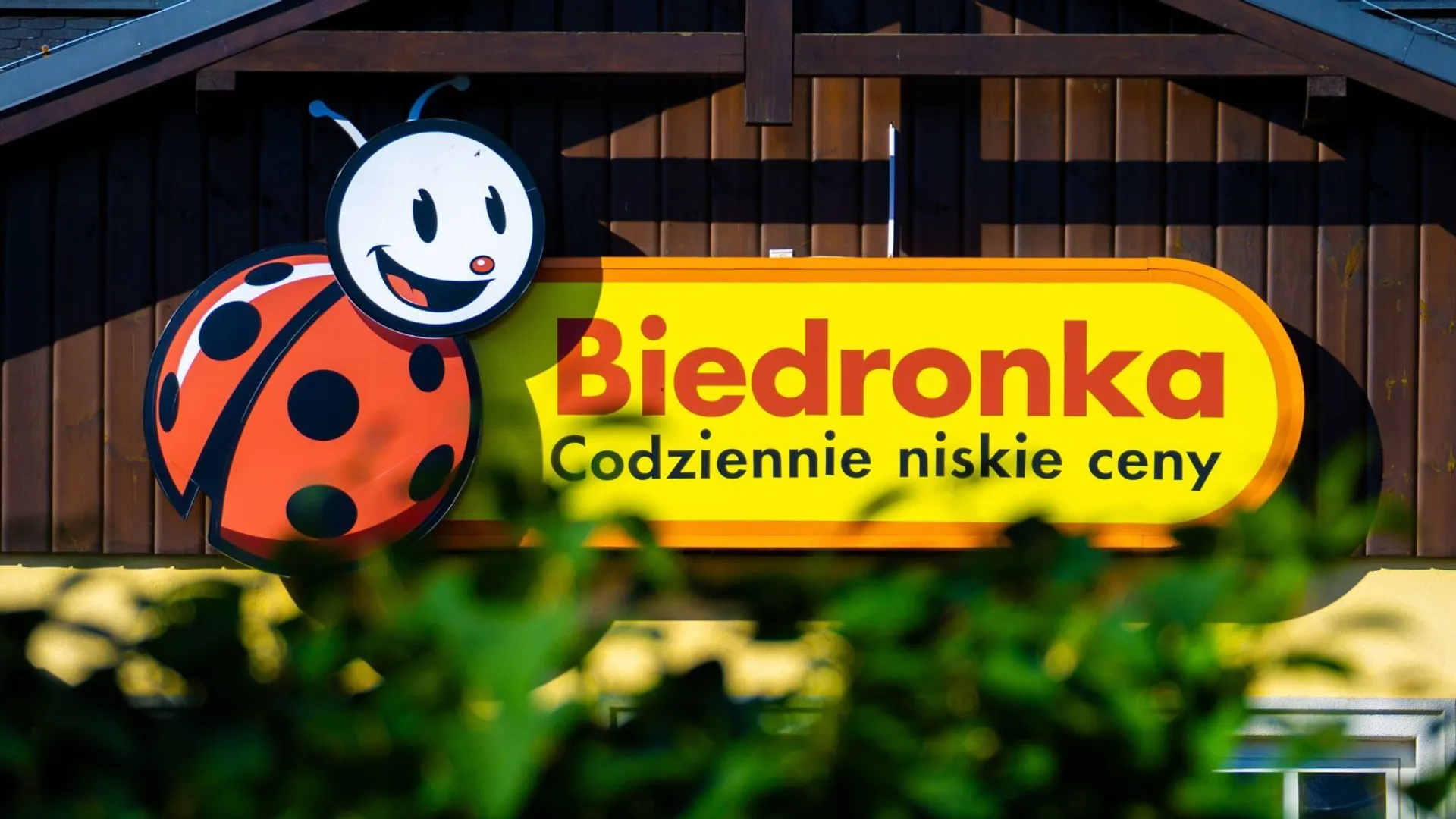Biedronka Pusheen