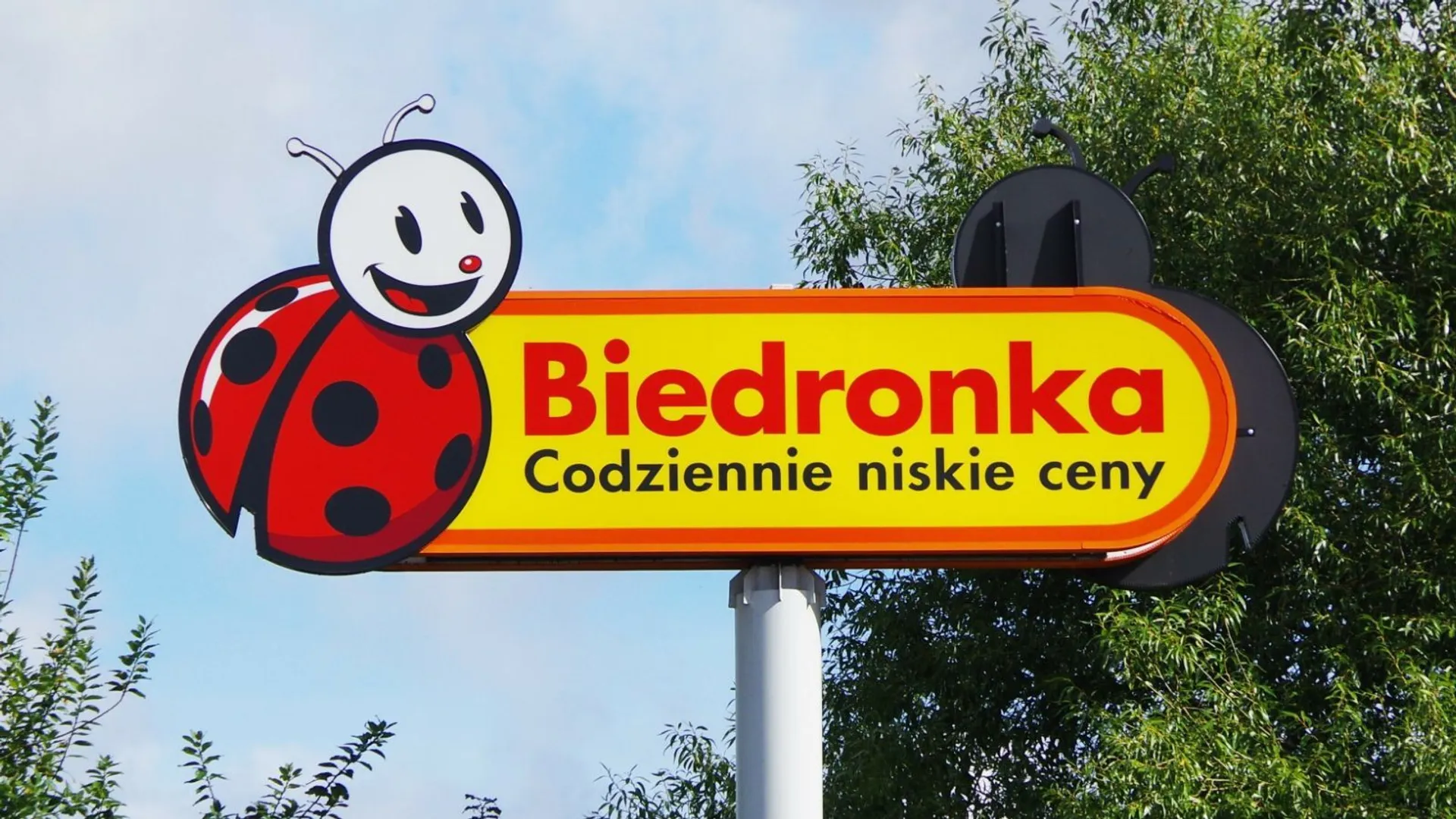 Biedronka, Wszystkich Świętych, 1 listopada, chryzantemy, promocje, przeceny, 3+1