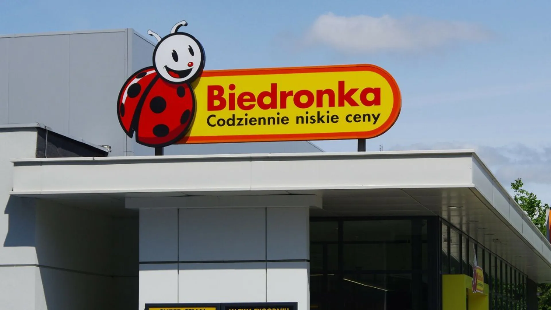 Biedronka