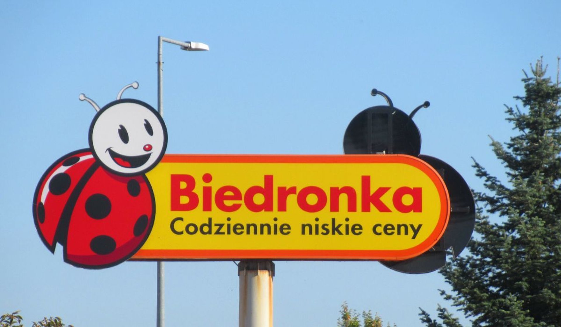 Biedronka