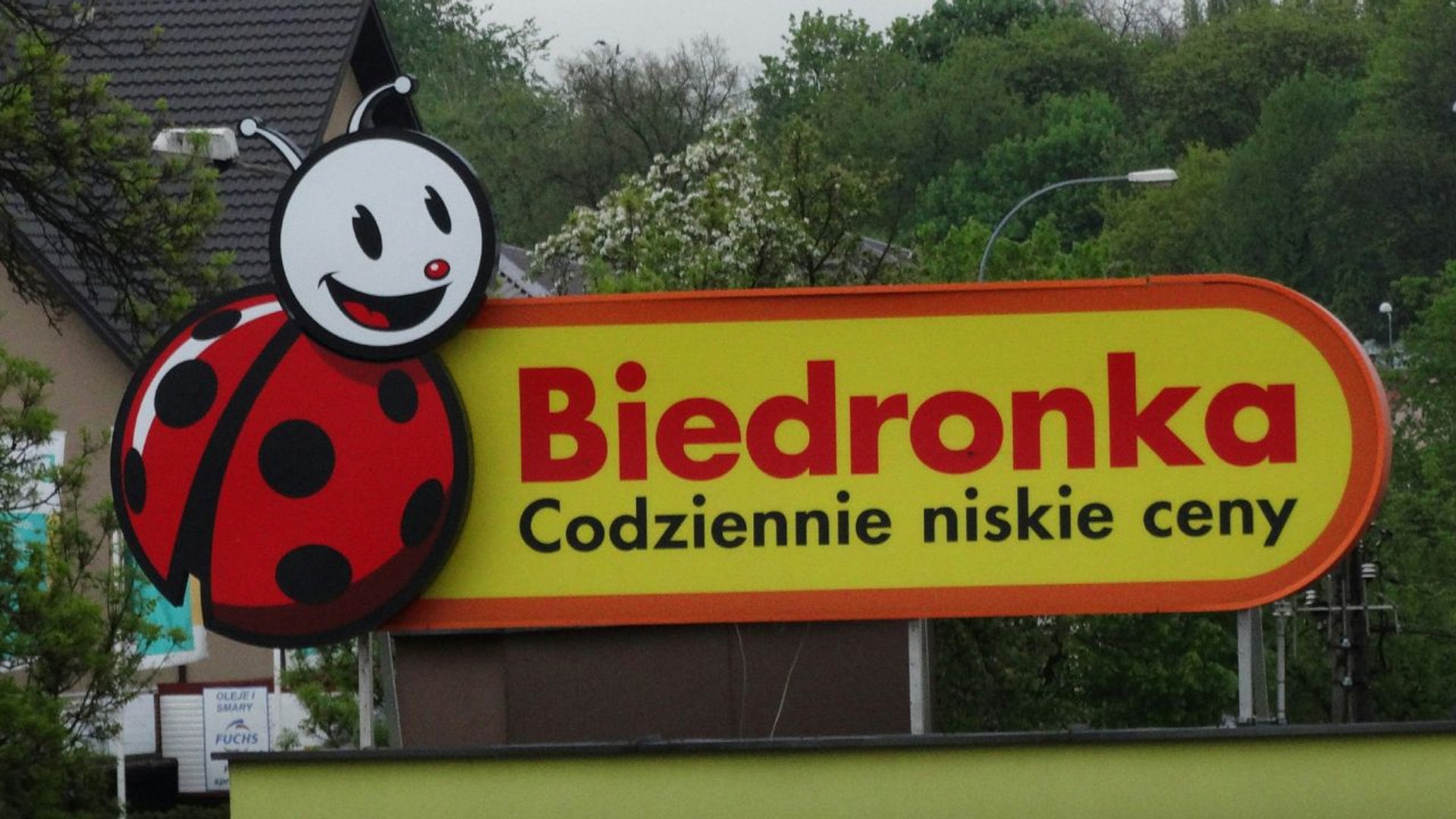 Biedronka