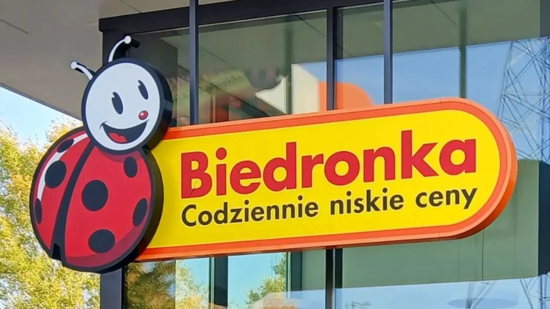 Biedronka, promocje w Biedronce, 22 września, 23 września