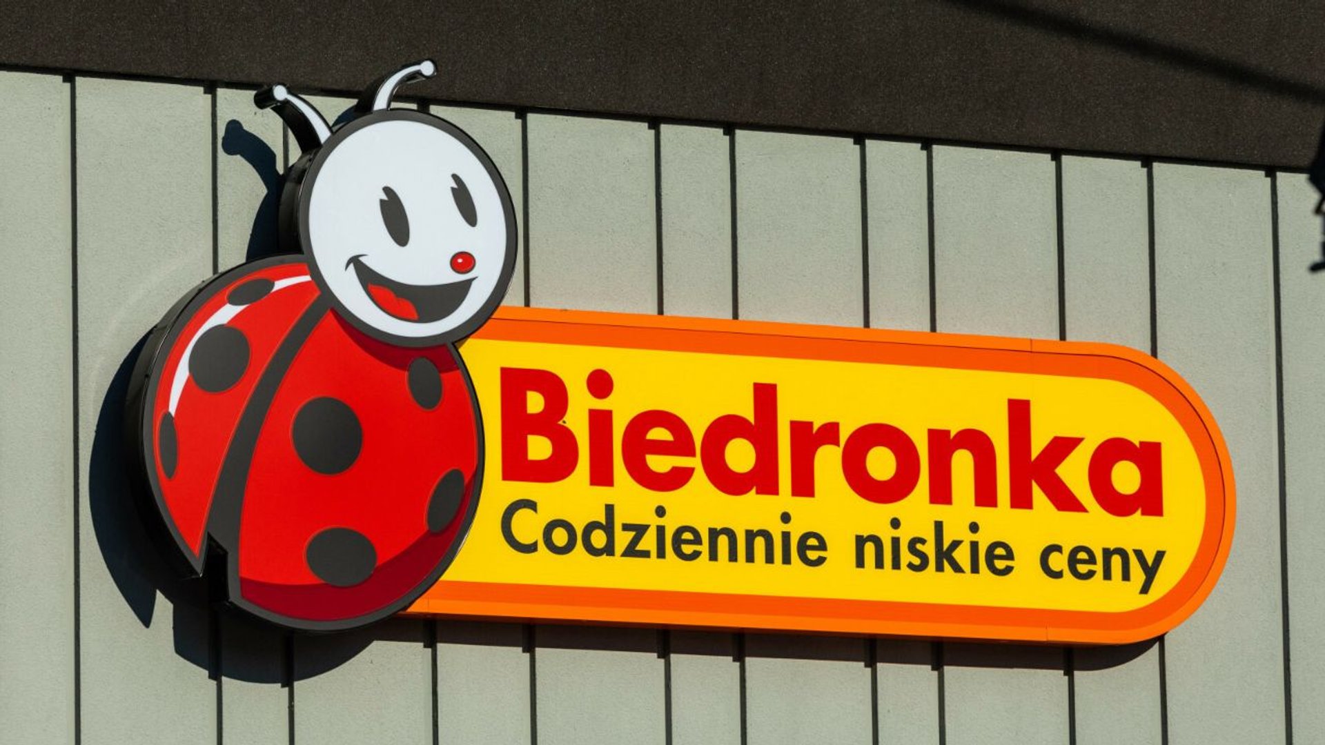 Biedronka 