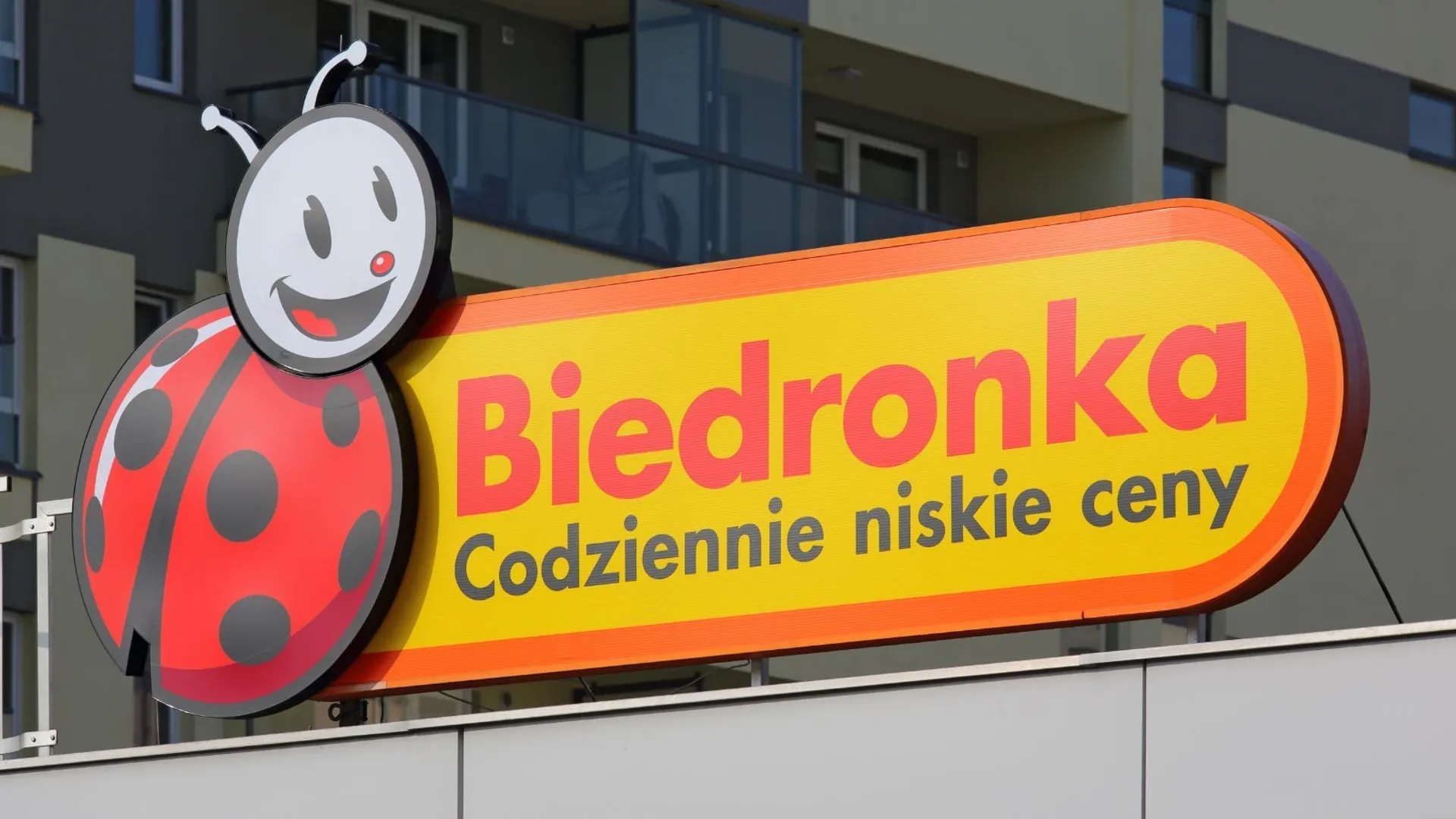 Biedronka do końca dnia