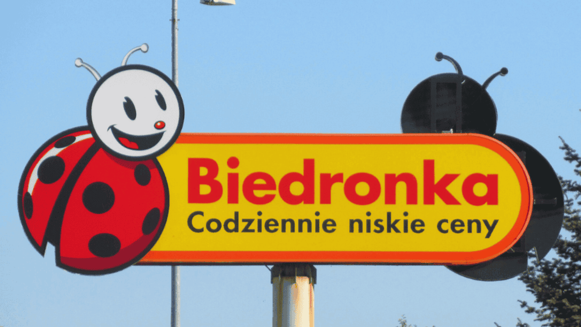 Biedronka