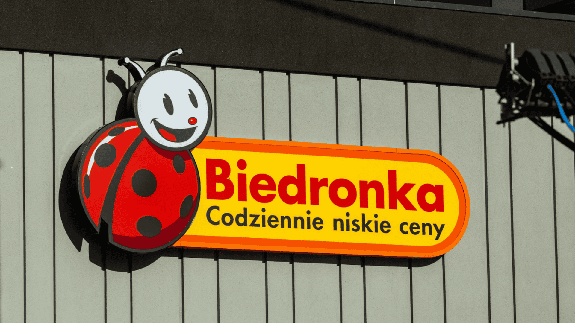 Biedronka