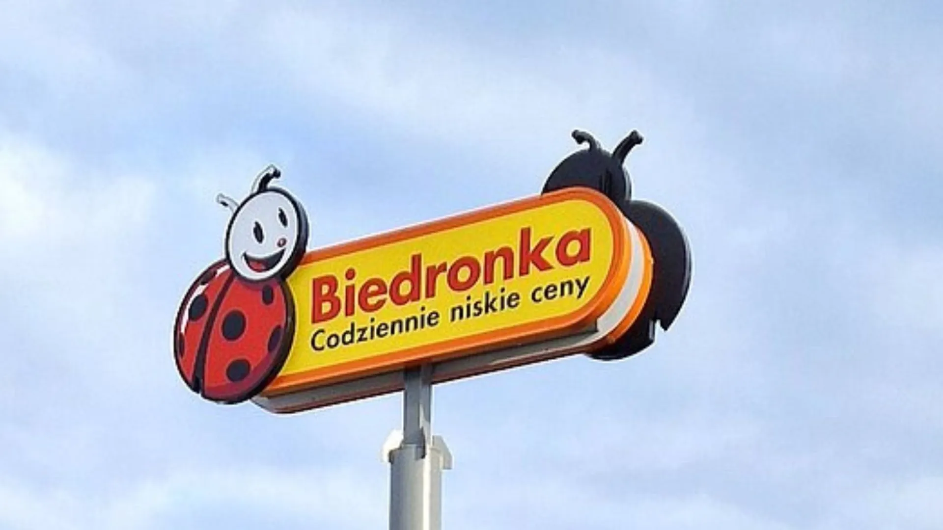 Biedronka