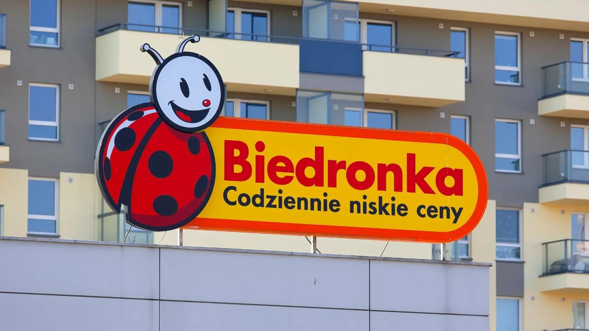 Biedronka gotowanie