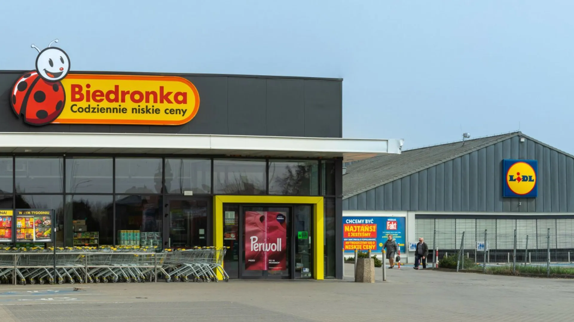 Biedronka i Lidl 