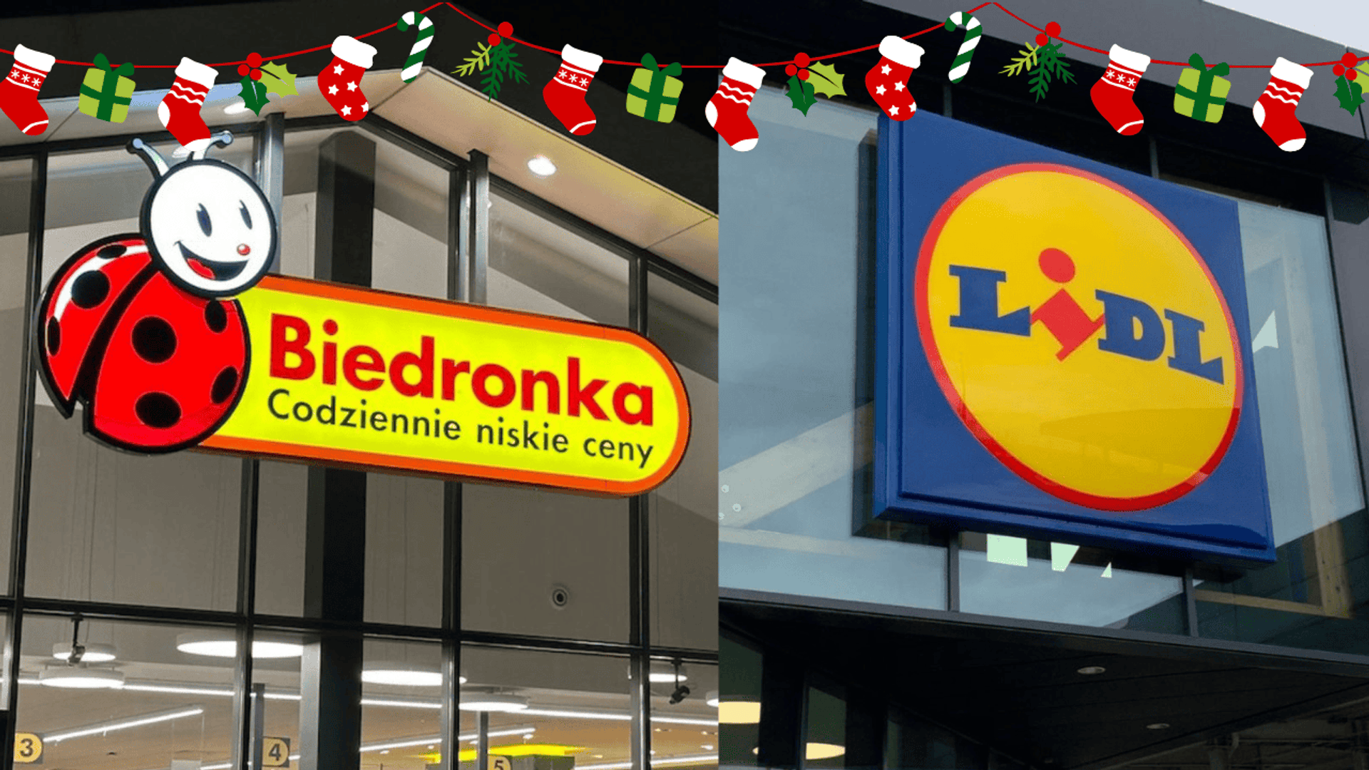 Biedronka i Lidl