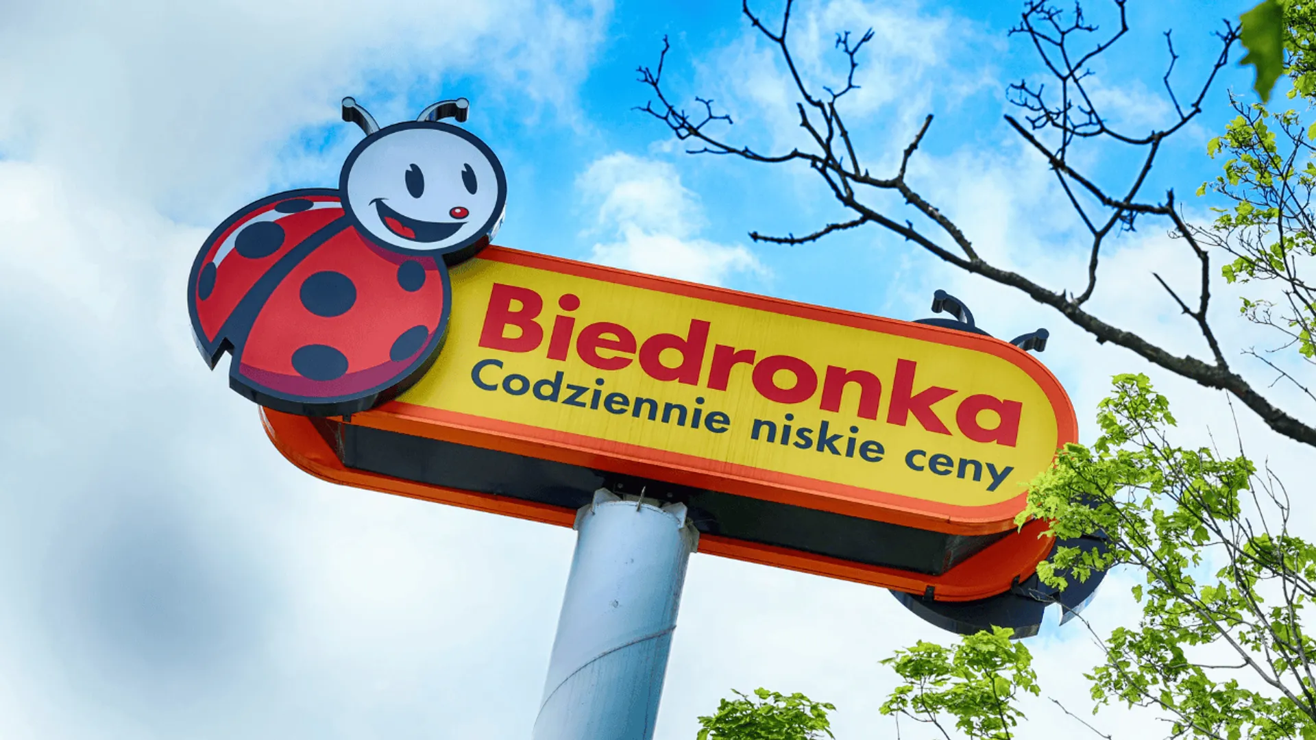 Biedronka