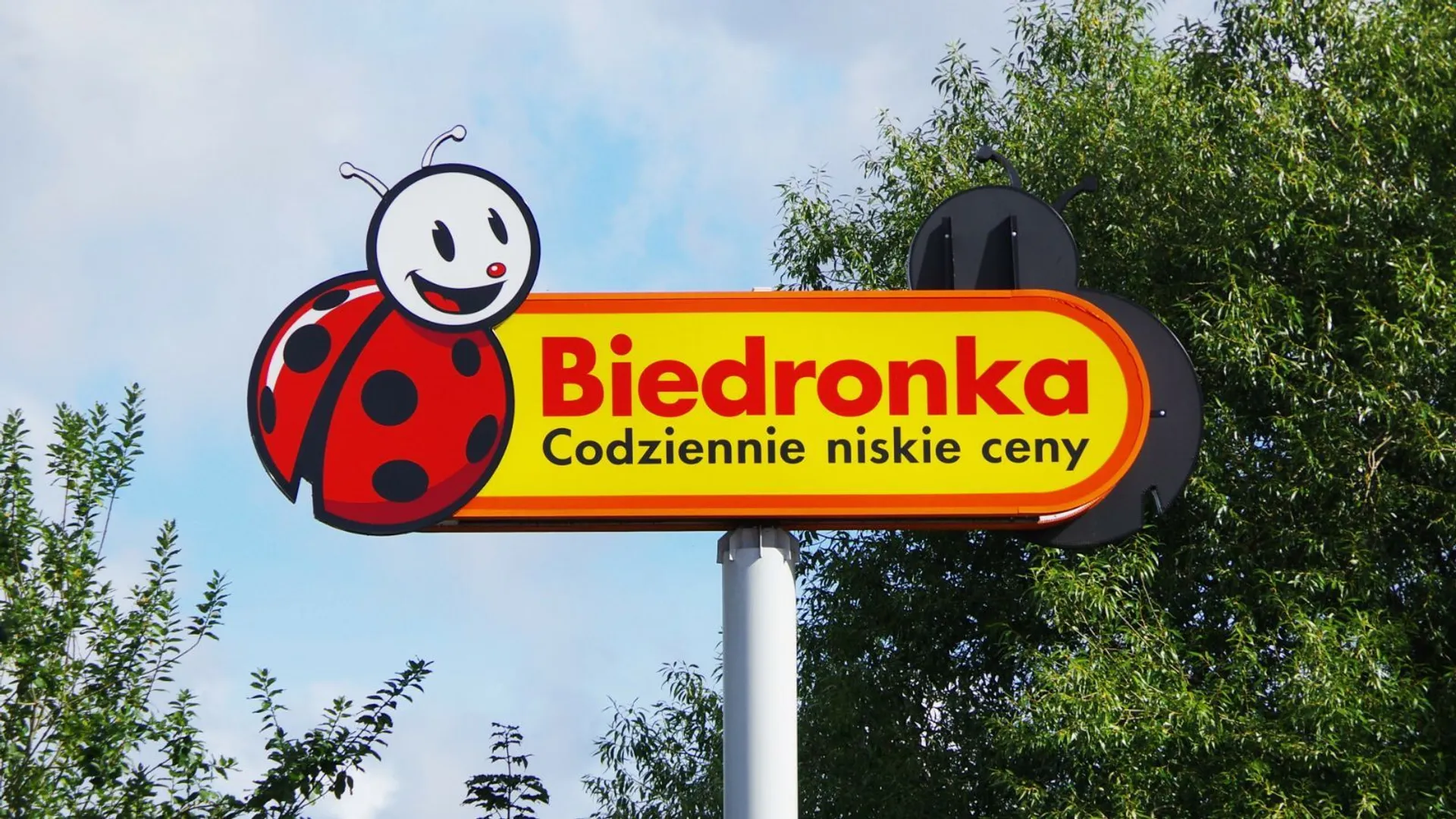 Biedronka