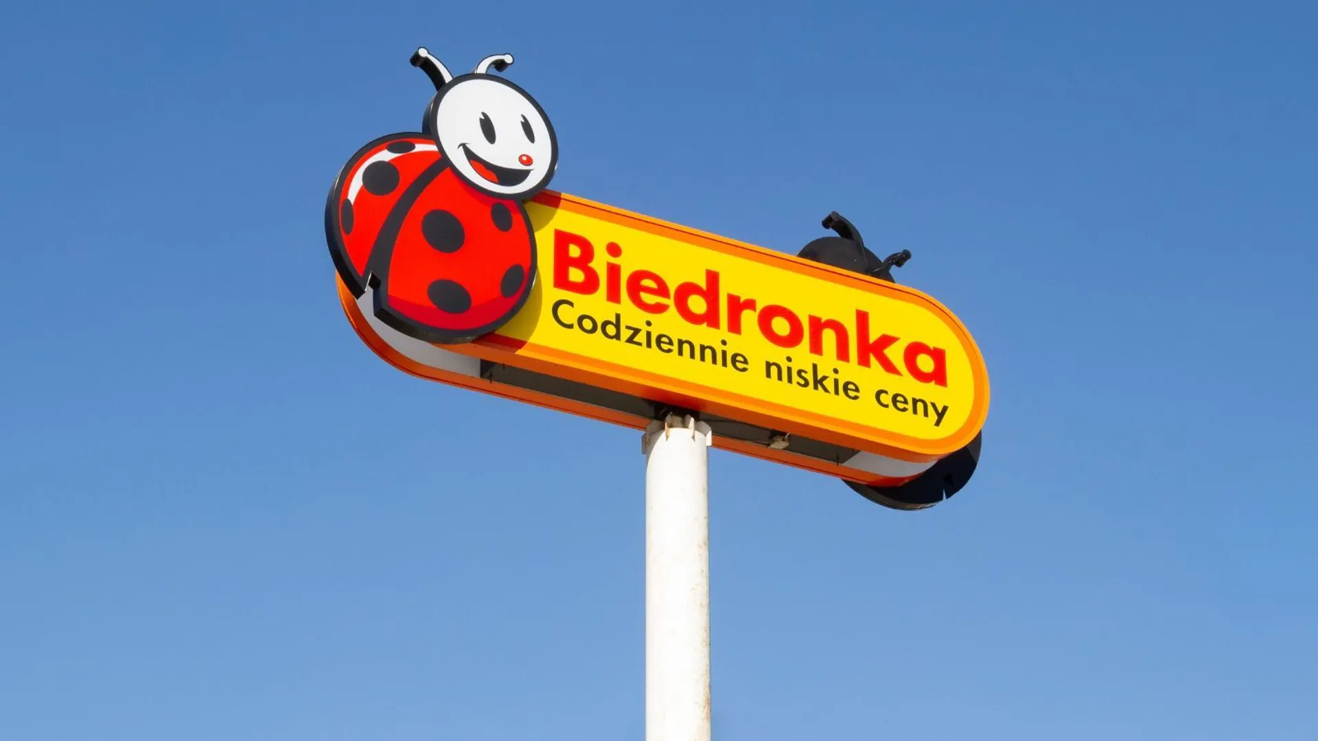 Biedronka nabiał