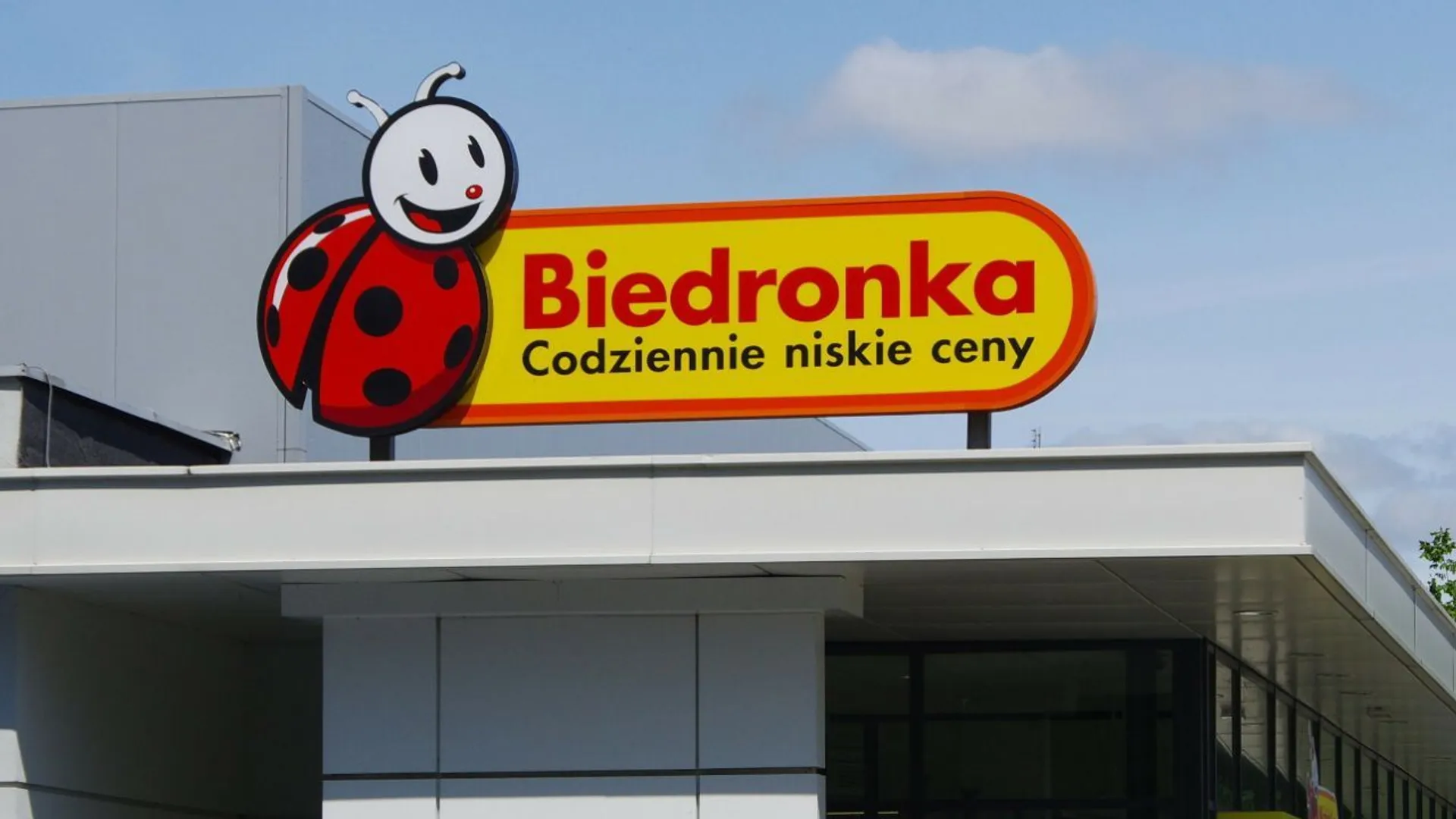 Biedronka oferta