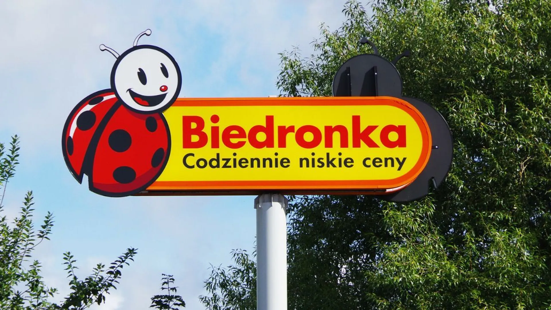 Biedronka promocja kawa