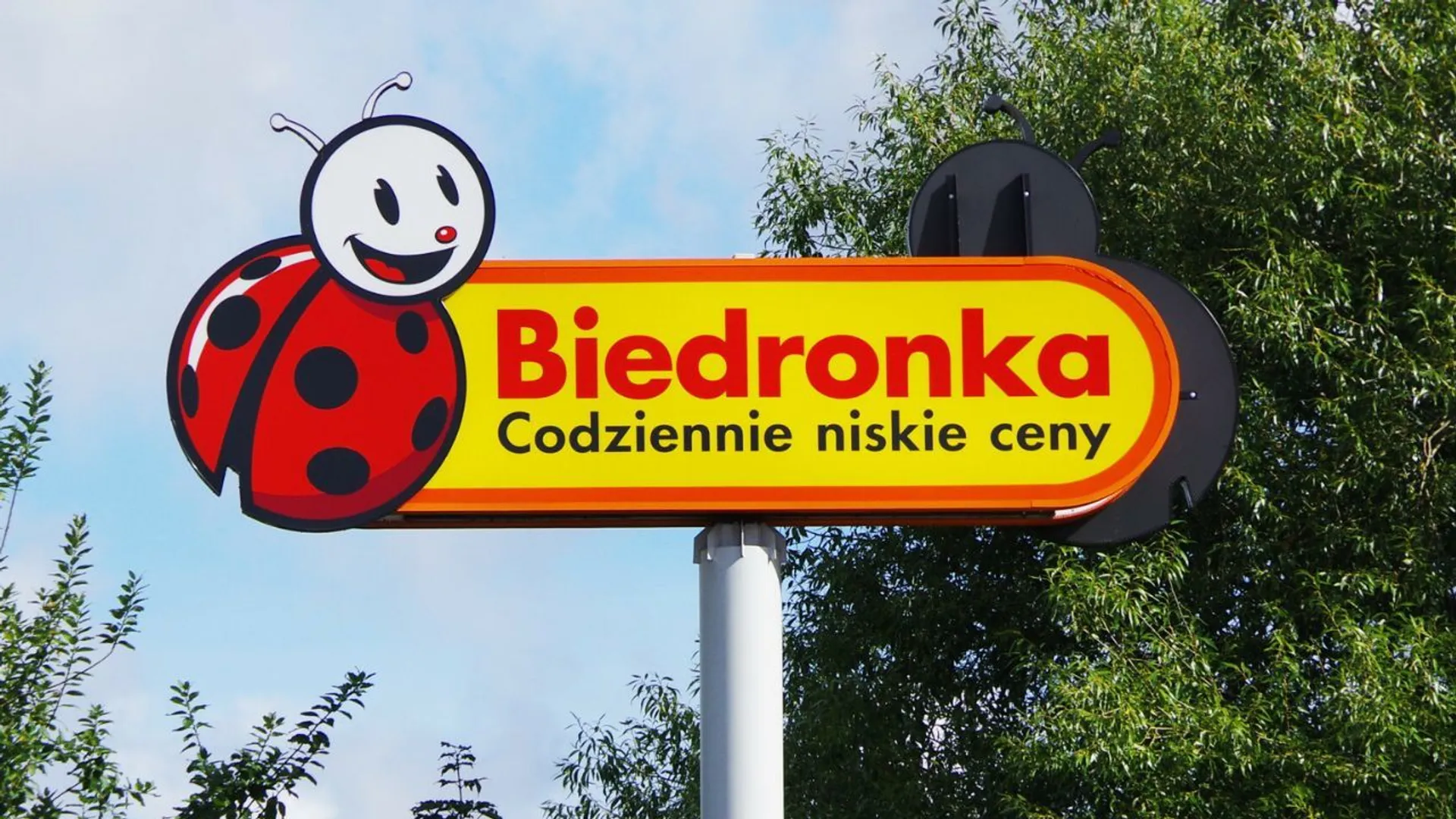 Biedronka promocje