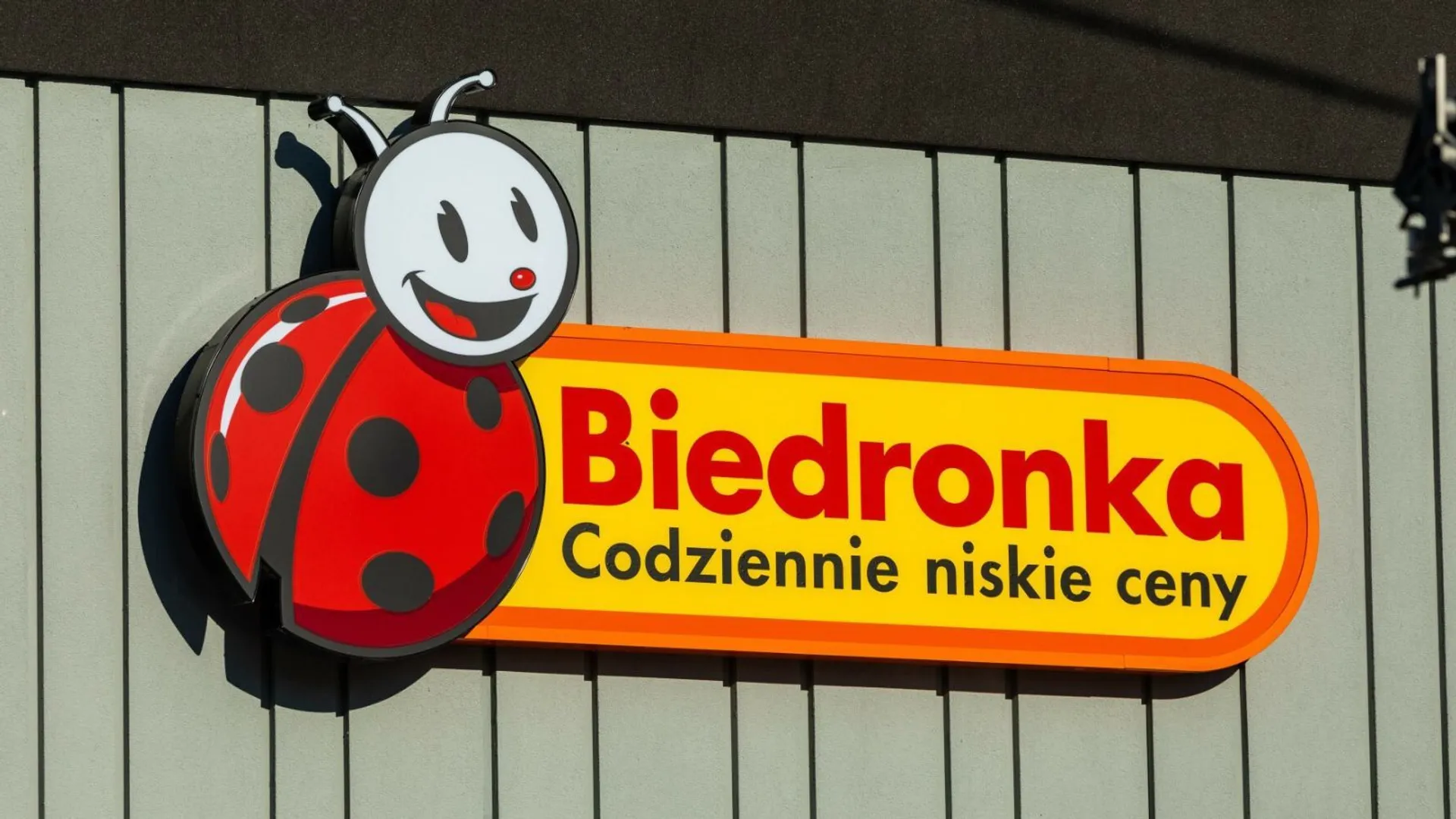 Biedronka promocje 24 10
