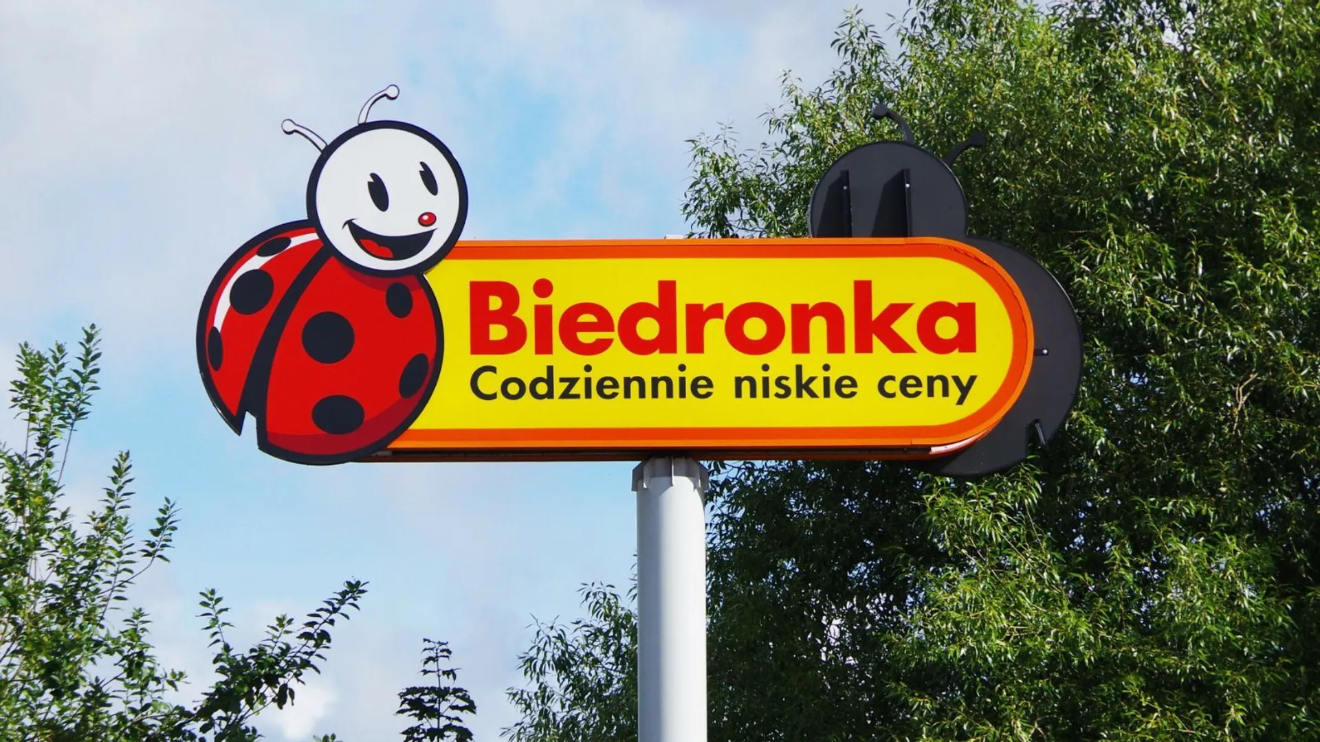 Biedronka sklep promocje