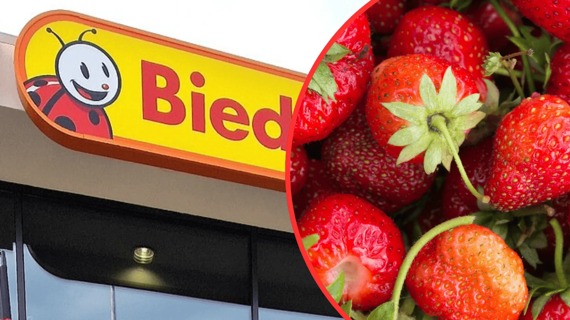 Biedronka, truskawki