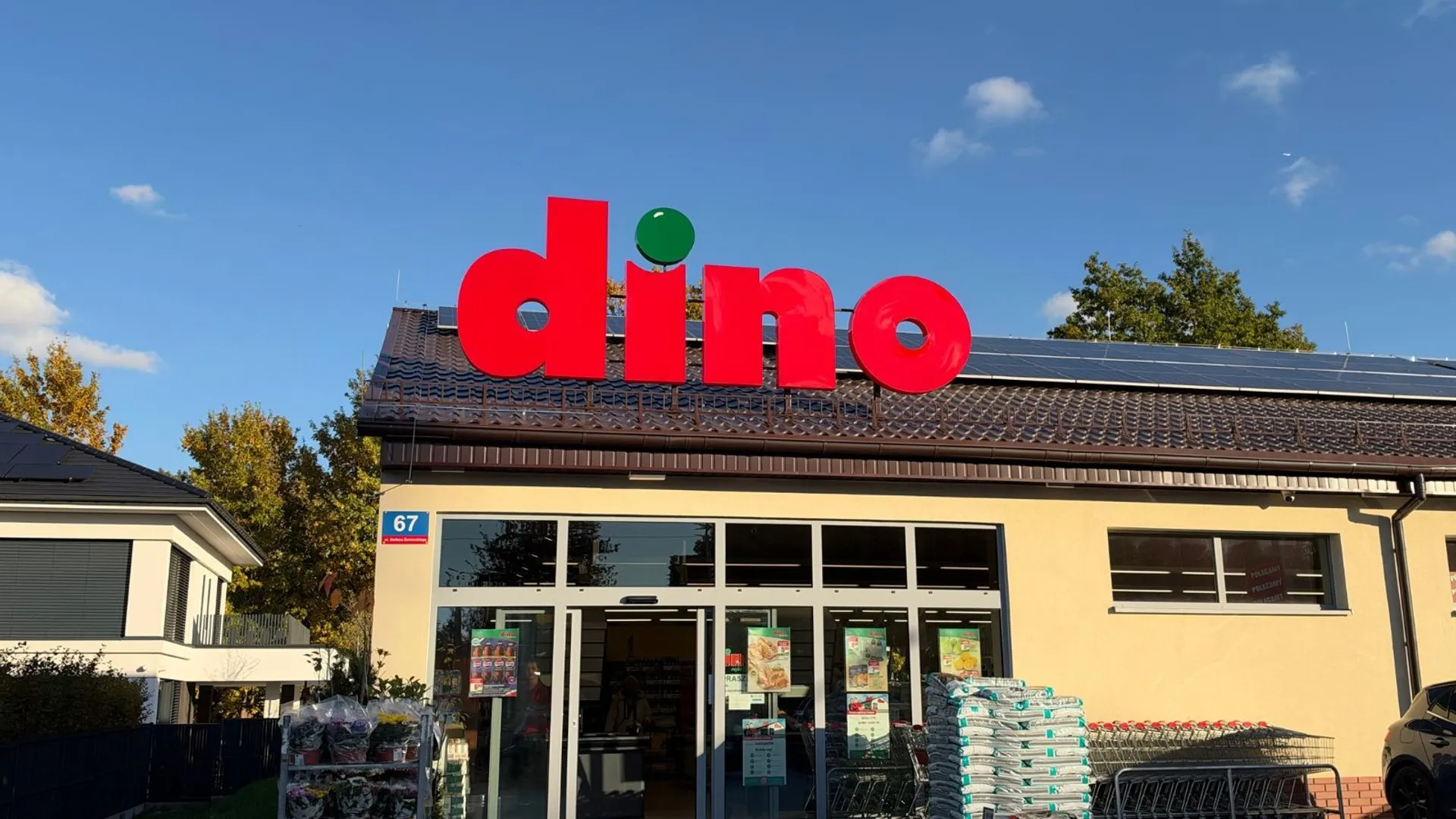 Dino