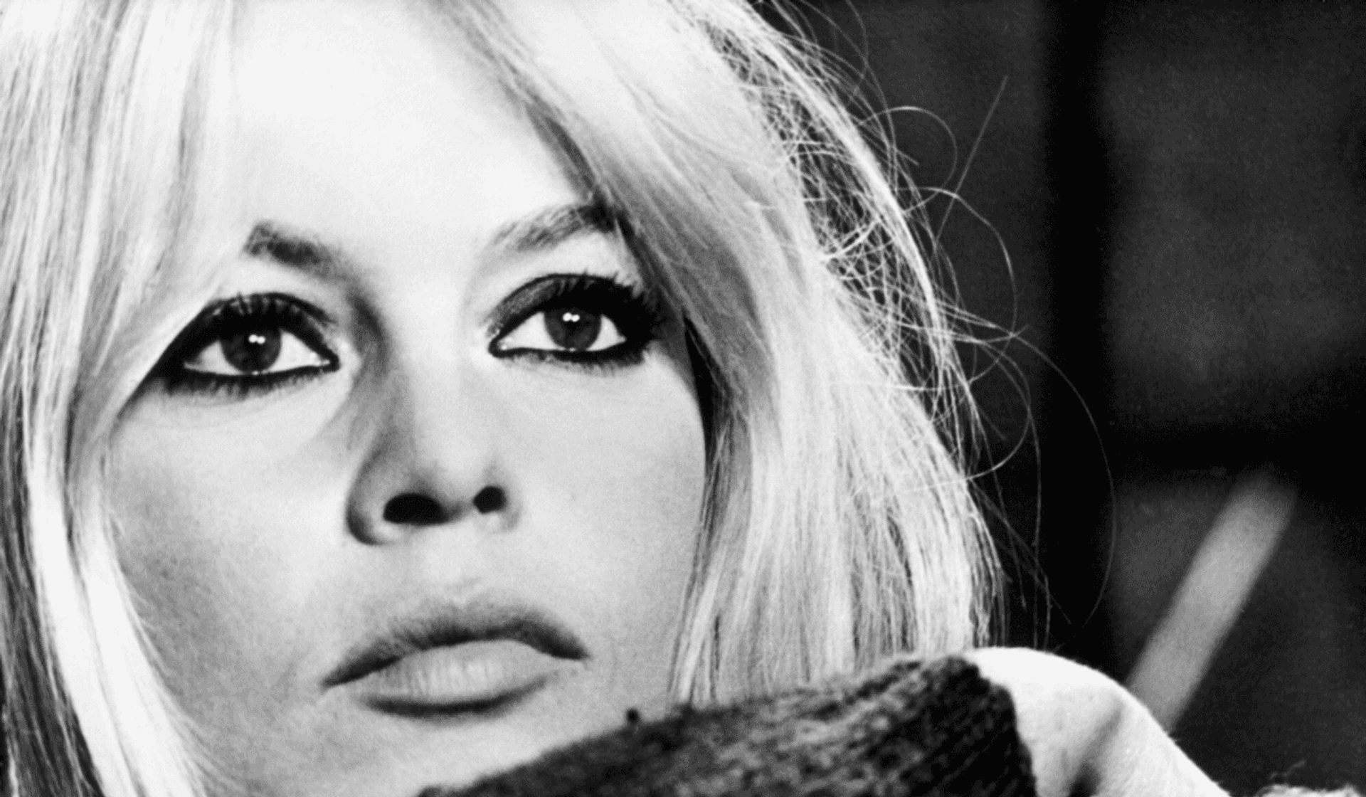 Brigitte Bardot 