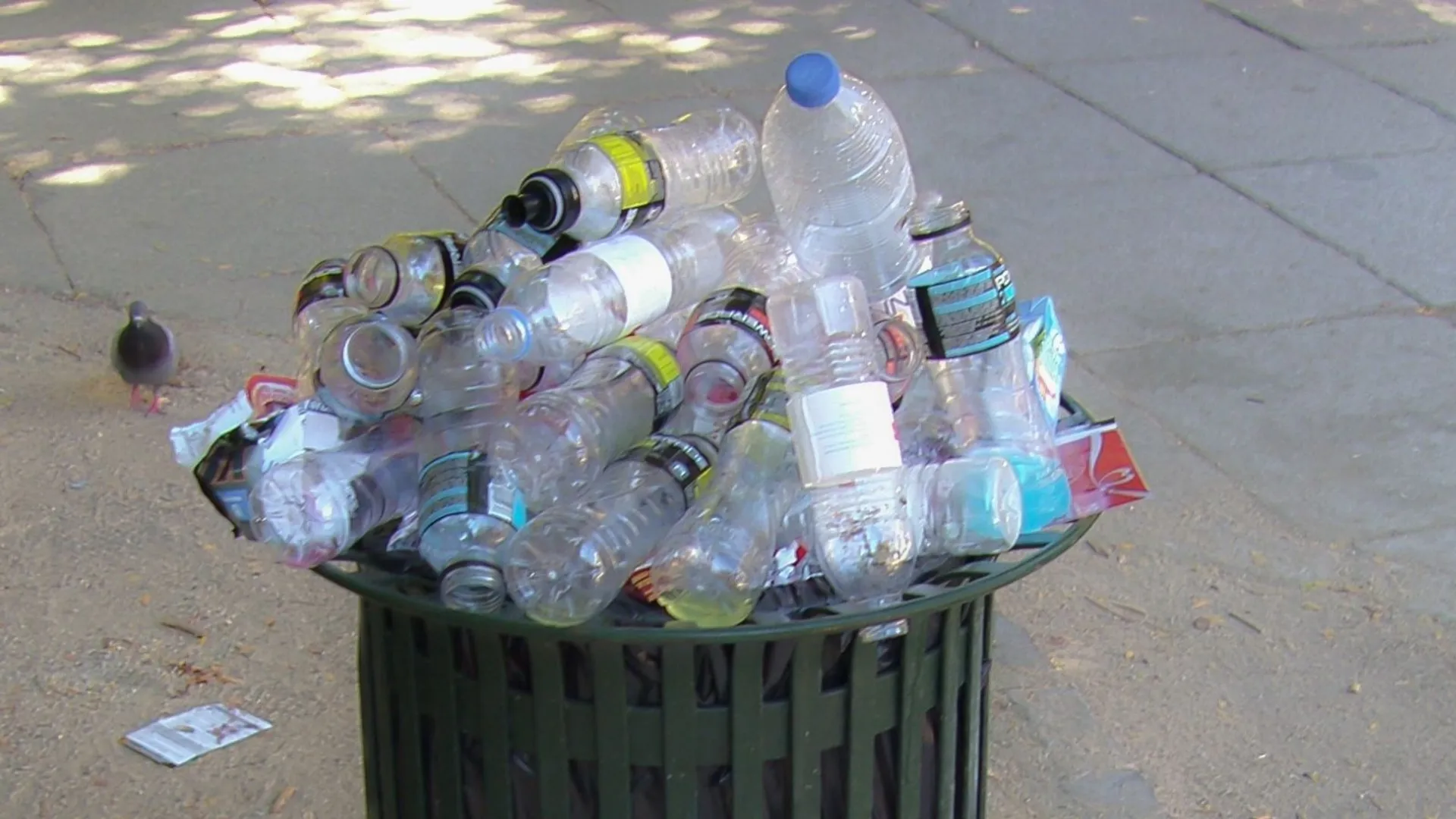 Butelki, plastik, plastikowa butelka, kosz, kaucja, kaucja na butelki