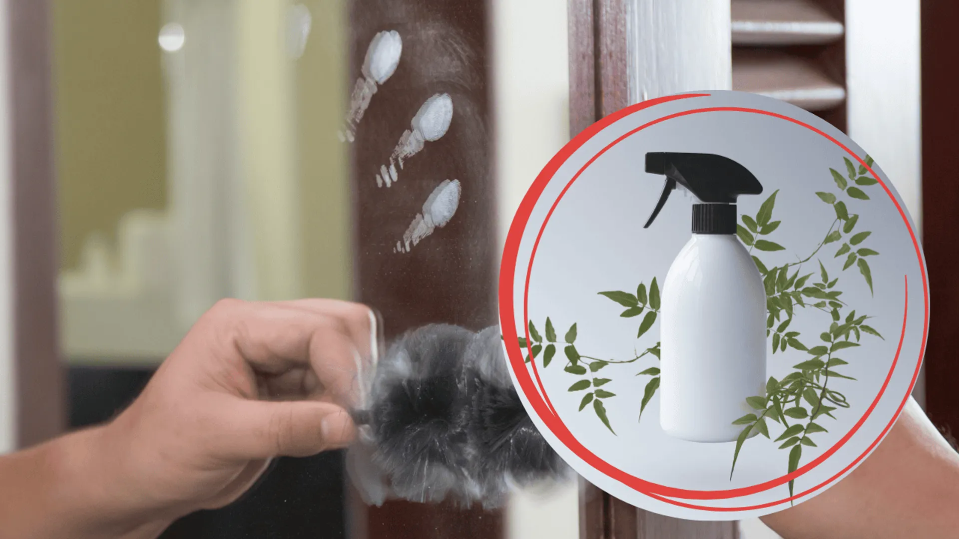 Domowy spray do mycia szyb