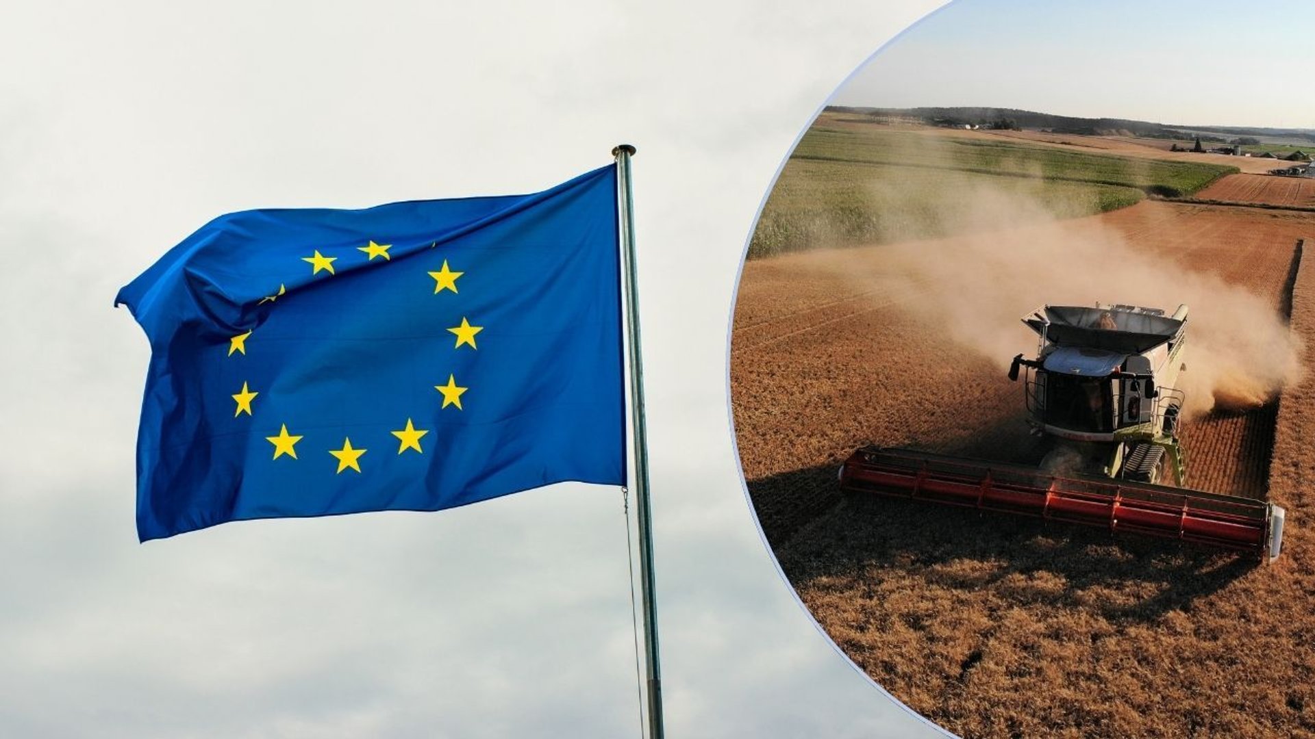 Unia Europejska, rolnicy